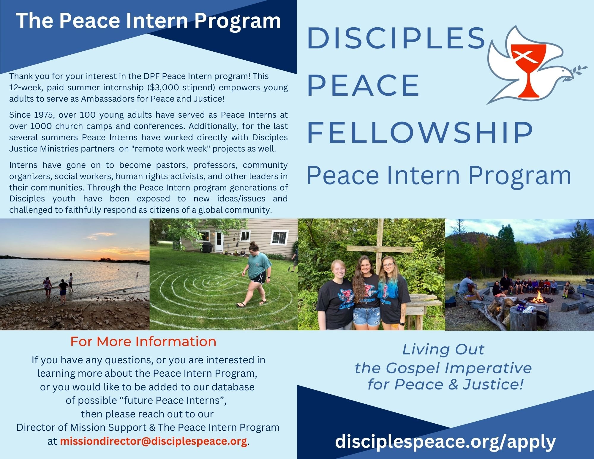 DPF Peace Intern Program Brochure p1.jpg