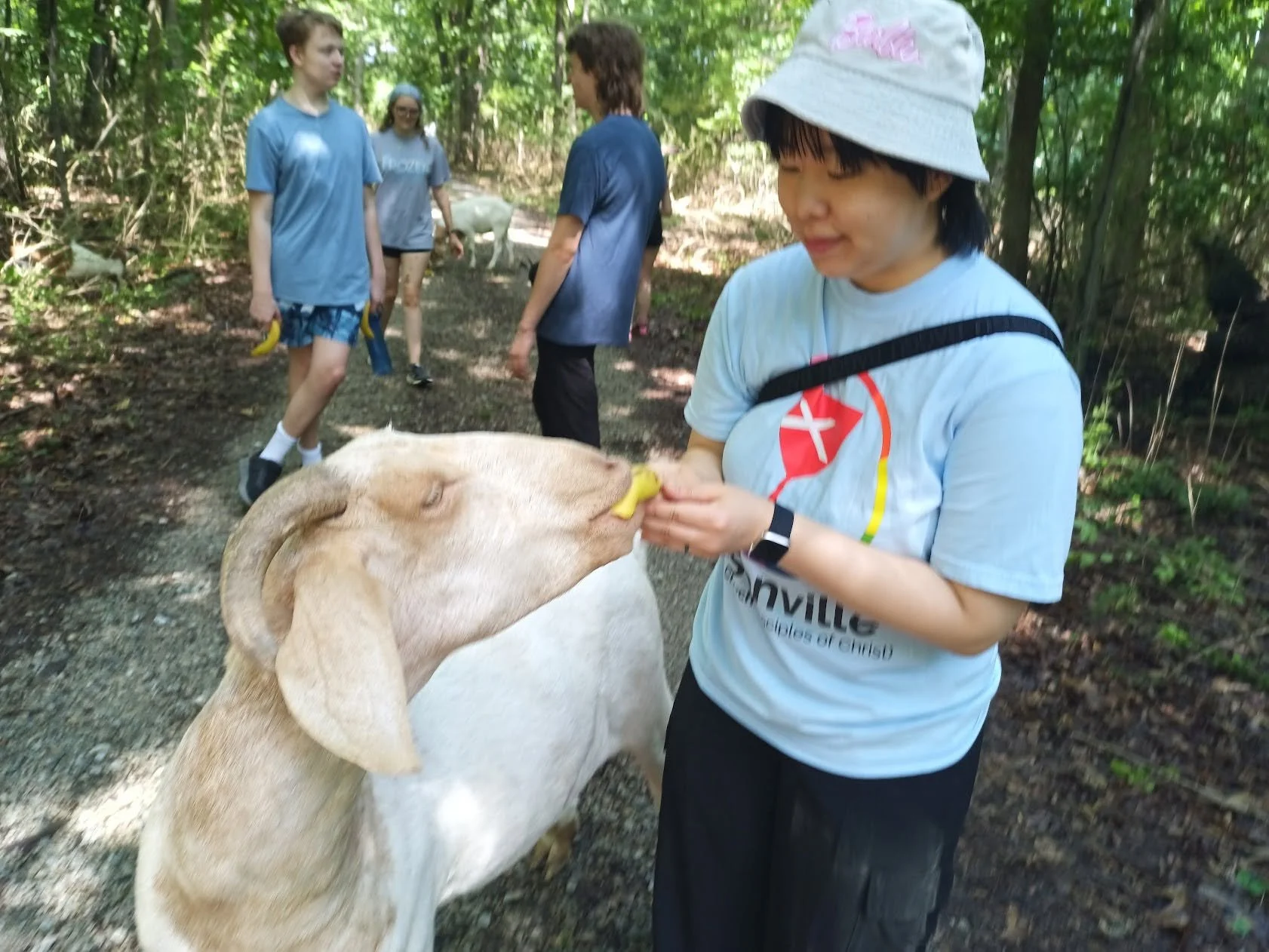 Meet 2026 Peace Intern, YoungJae Lee, with a summary of their first week at Camp Walter Scott!