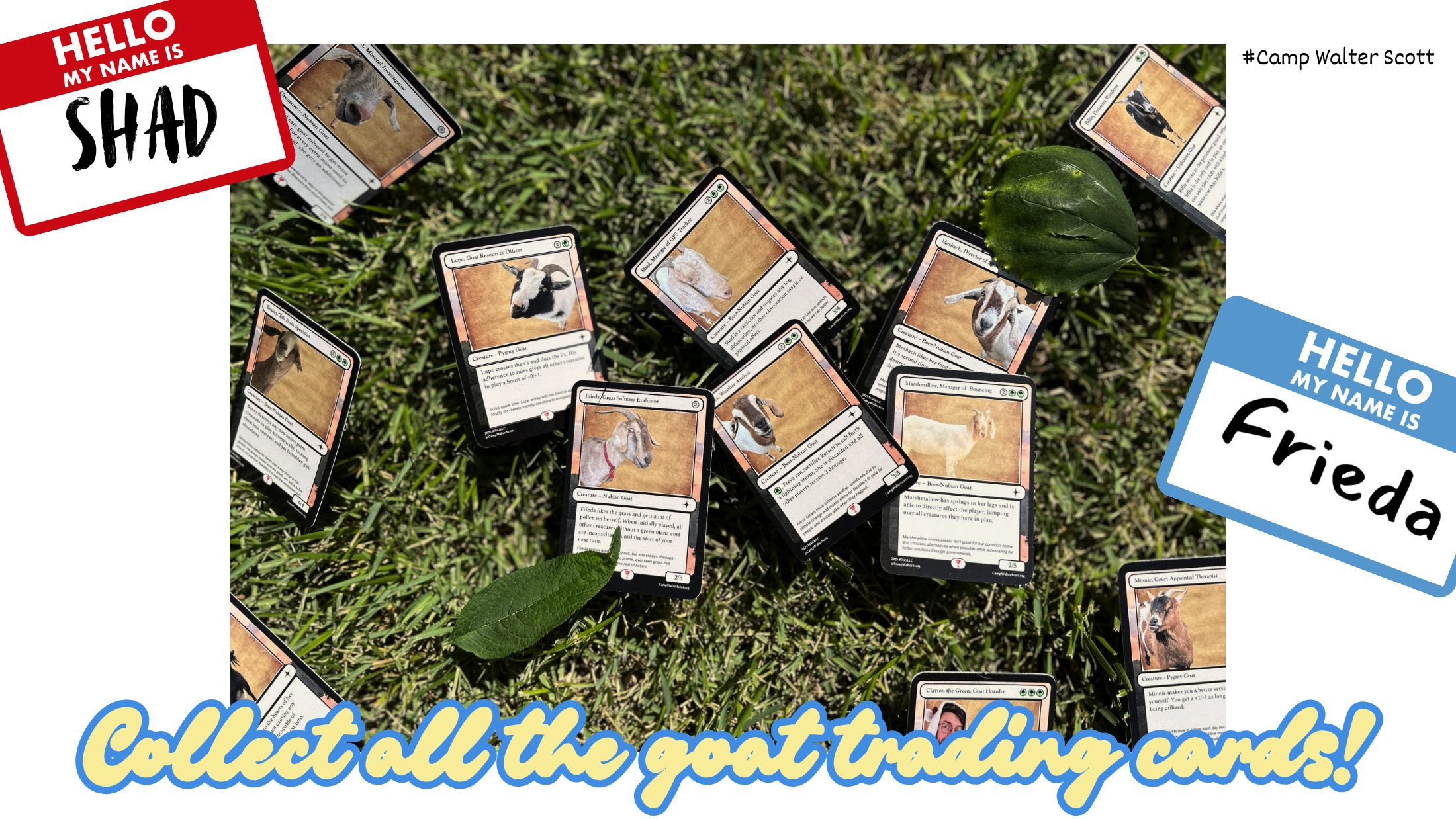 CWS-Goat Traiding Cards.png