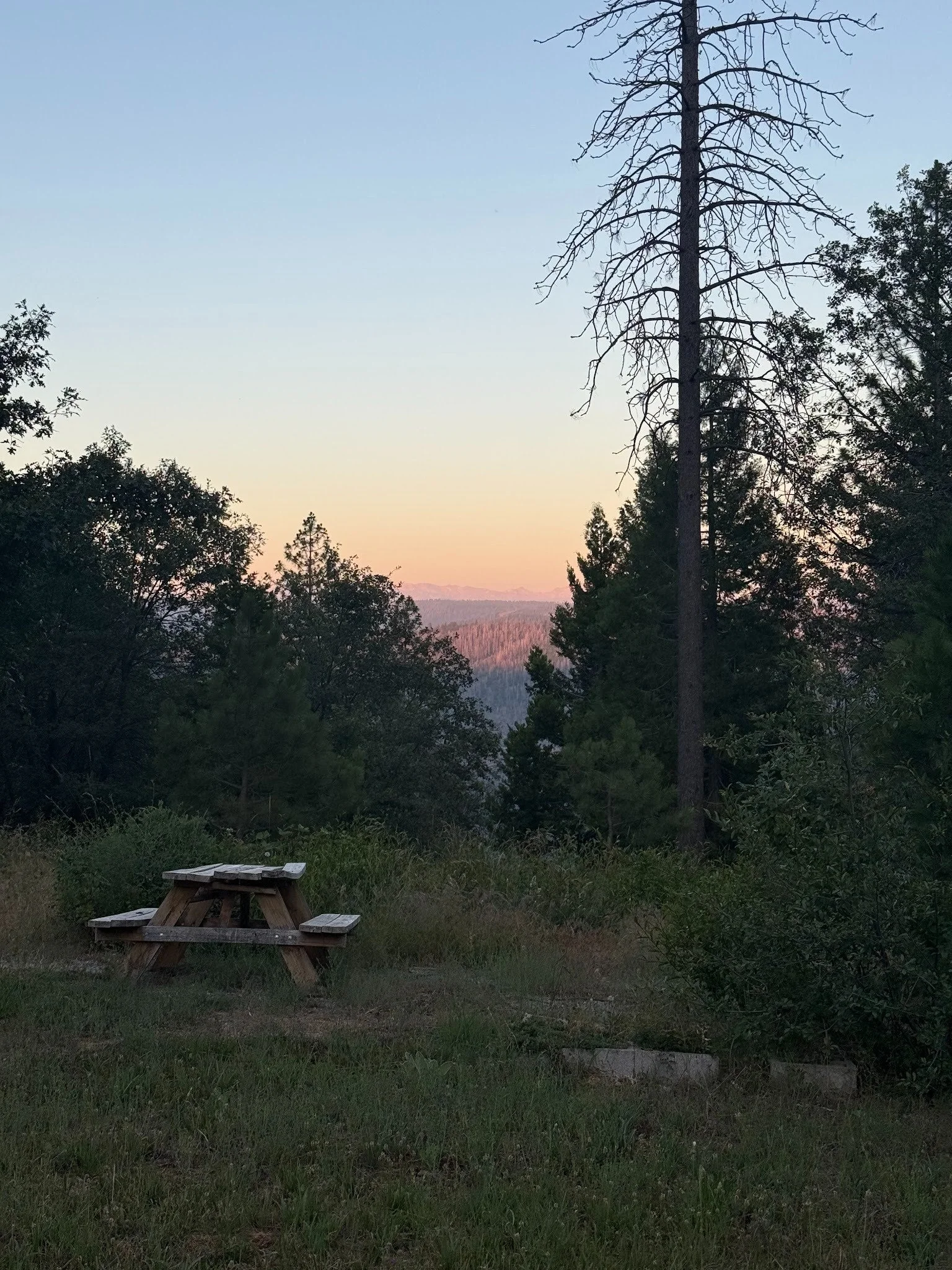 &nbsp;Ode to CGC Camp