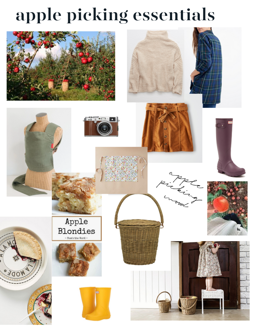 apple picking essentials.png