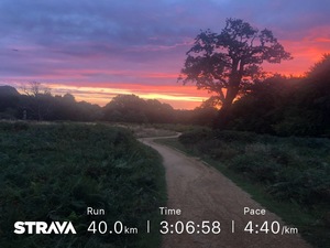 Sunrise in Richmond Park on 40k run for JamesRunsFarcom.jpg