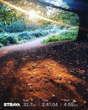 Sunrise through Trees on 32k run in Richmond Park for JamesRunsFarcom.jpg