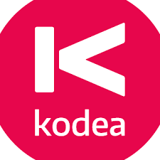 Scaling Social Impact and Autonomy using Team Topologies Principles at NGO Kodea