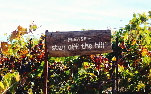 san-francisco-travel-guideII-26.jpg