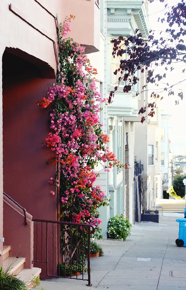 san-francisco-travel-guideII-7.jpg