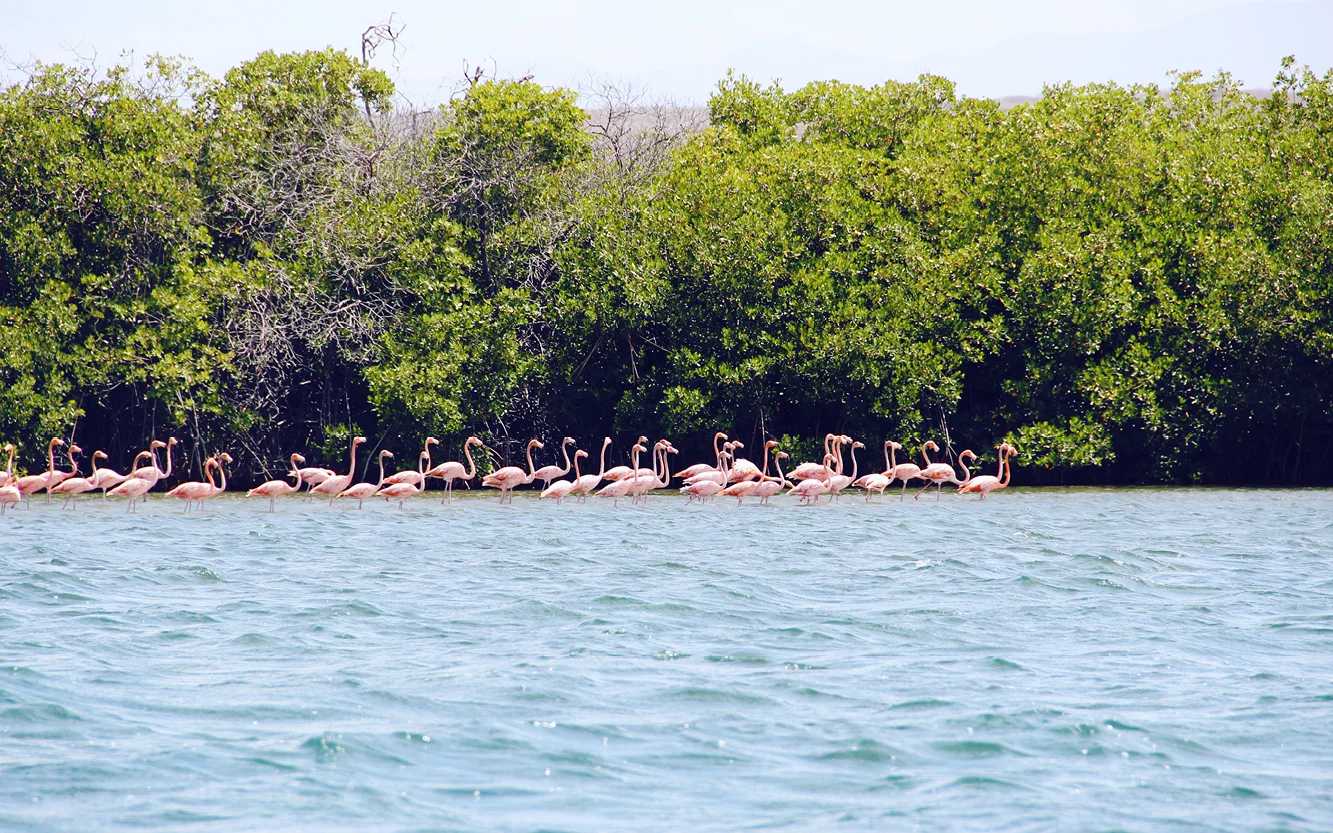 Un Viaje En Bote A La Playa "Los Corbanitos" // En este momento, El Corbanitos es una playa desolada en Baní, pero promete ser la nueva atracción turística en la República Dominicana en los próximos años.