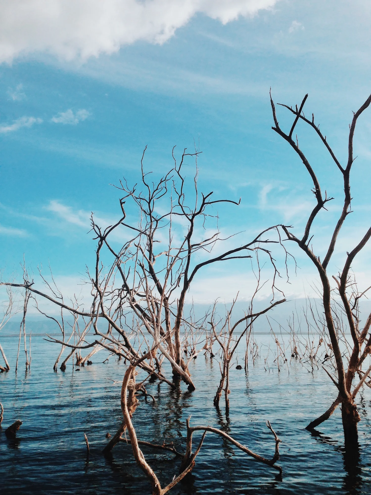 road-trip-lago-enrriquillo-dominican-republic-3.jpg