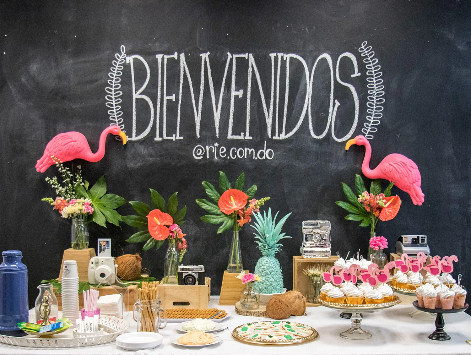 Tuvimos la oportunidad de compatir the key to social photos con un nuevo grupo que estaba dispuesto a aprender todos los trucos detrás de una buena foto.