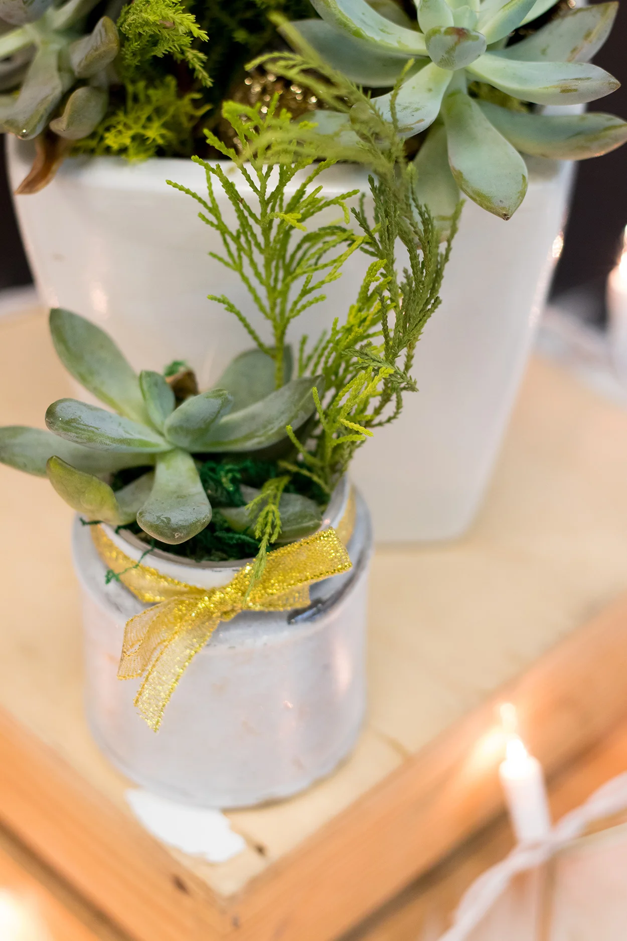 Christmas Decor Succulent | The Key To Blog Blogging Creative Workshop