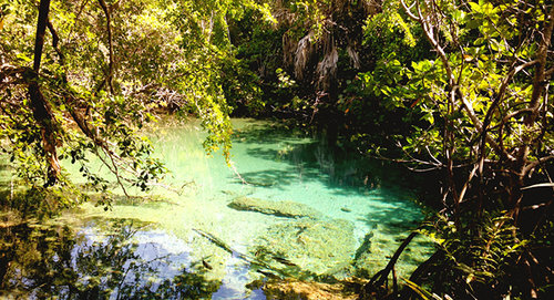 Viajando Al Parque  'Ojos Indígenas', Punta Cana