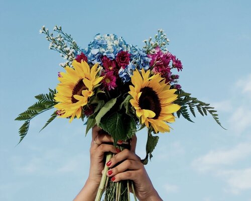 4 Maneras Fáciles Y Creativas De Usar Fotos De Stock