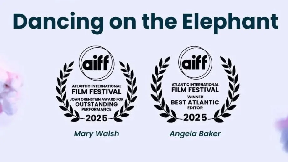 Elephant Wins AIFF Awards: Best Performance and Best Editing