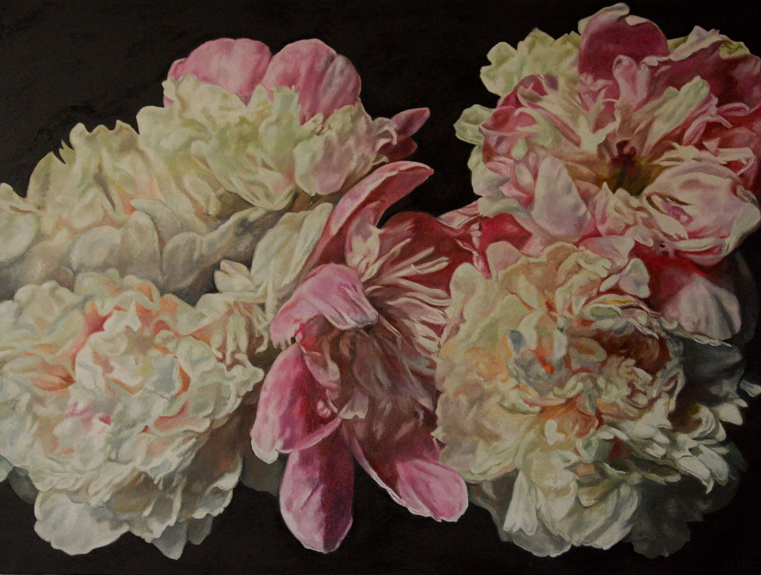 Peony Garden III