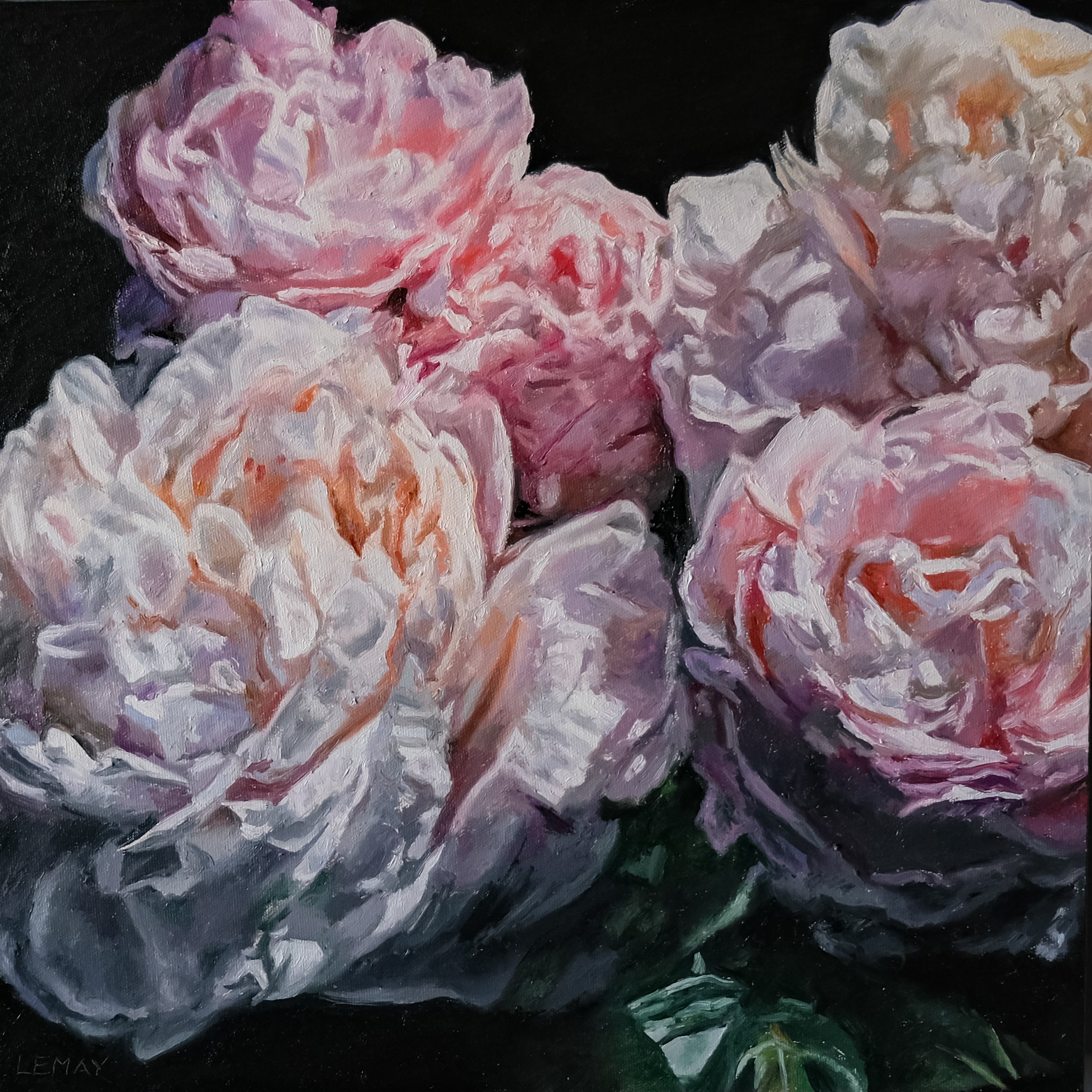 Peony Study 4 