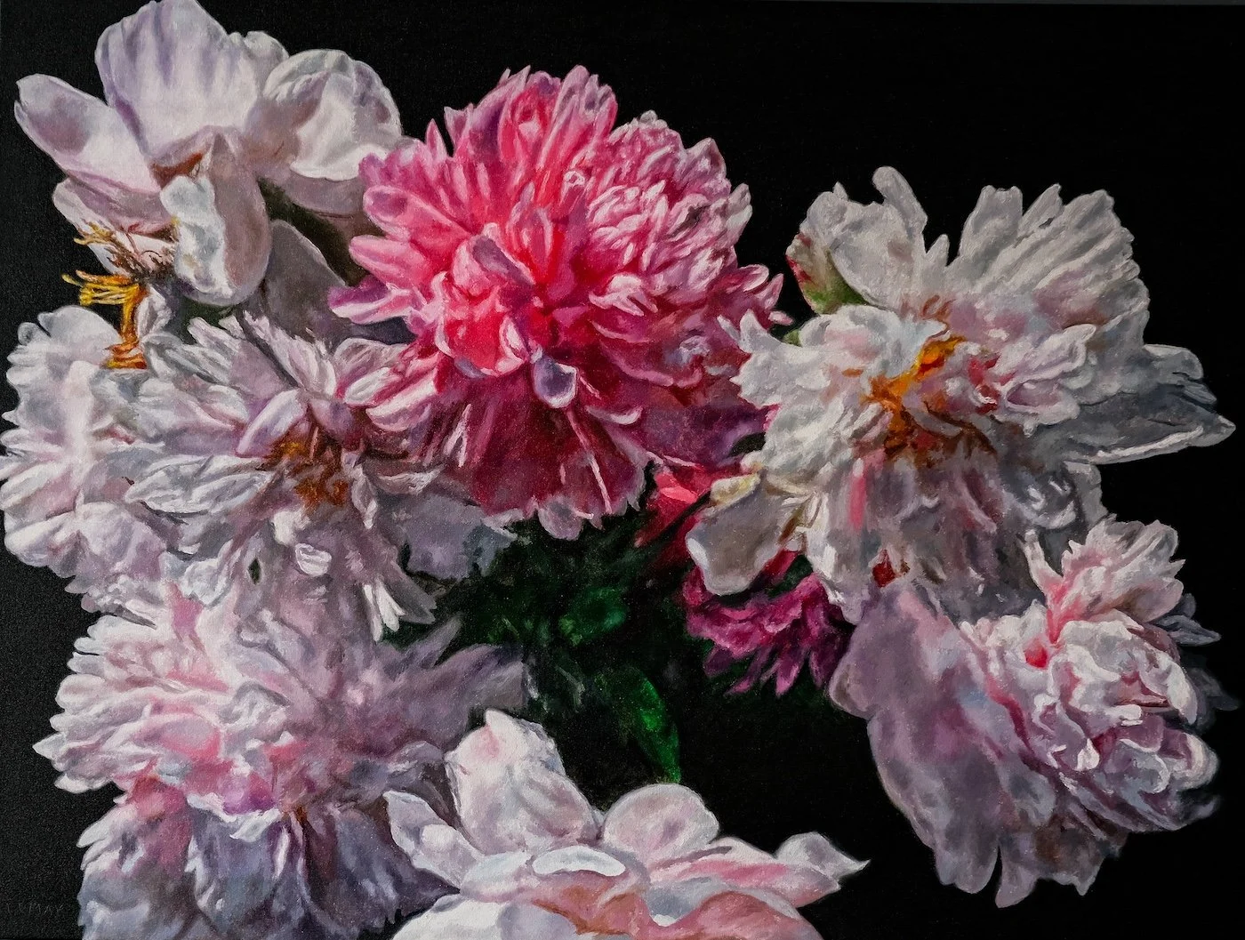 Peony Garden