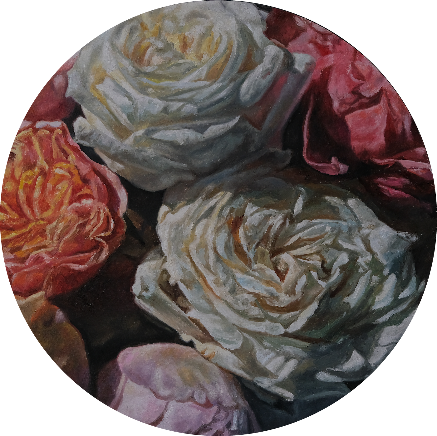 Rose Study