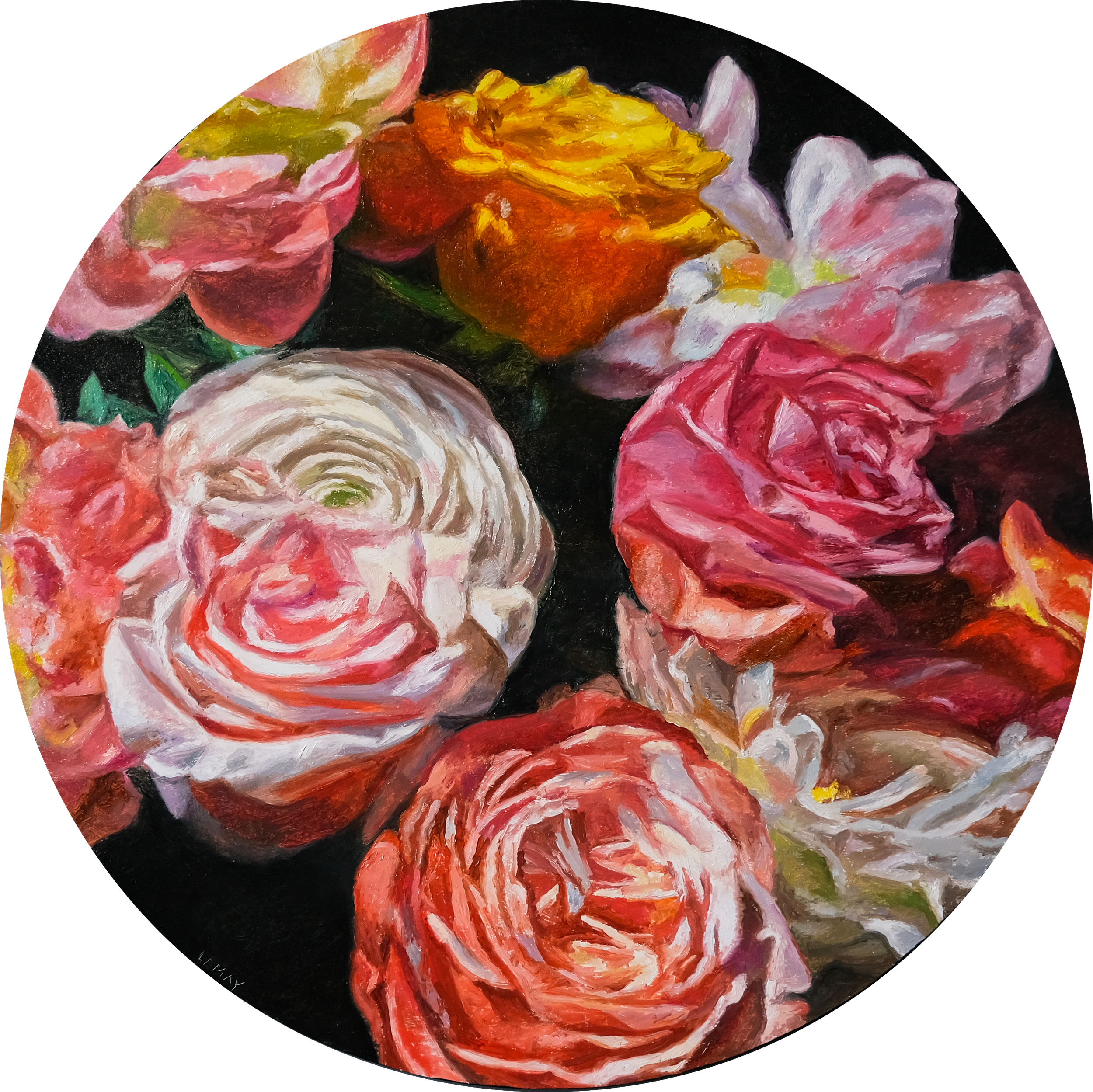 Rose Study
