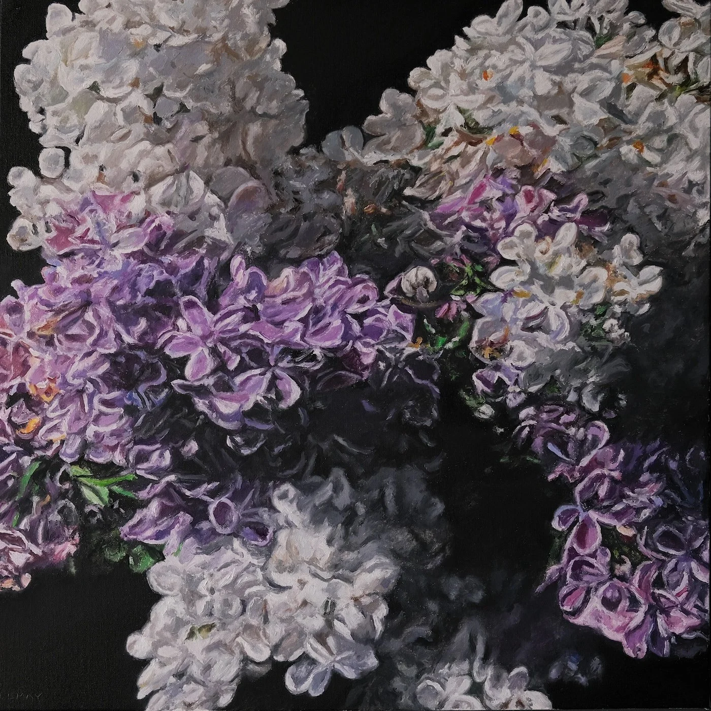 Lilacs