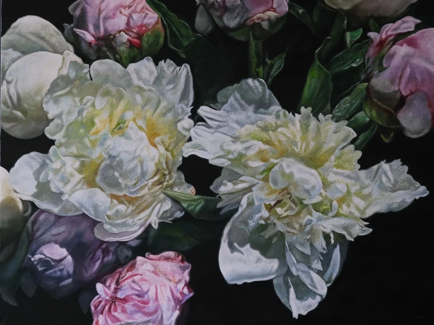 Peony Garden 