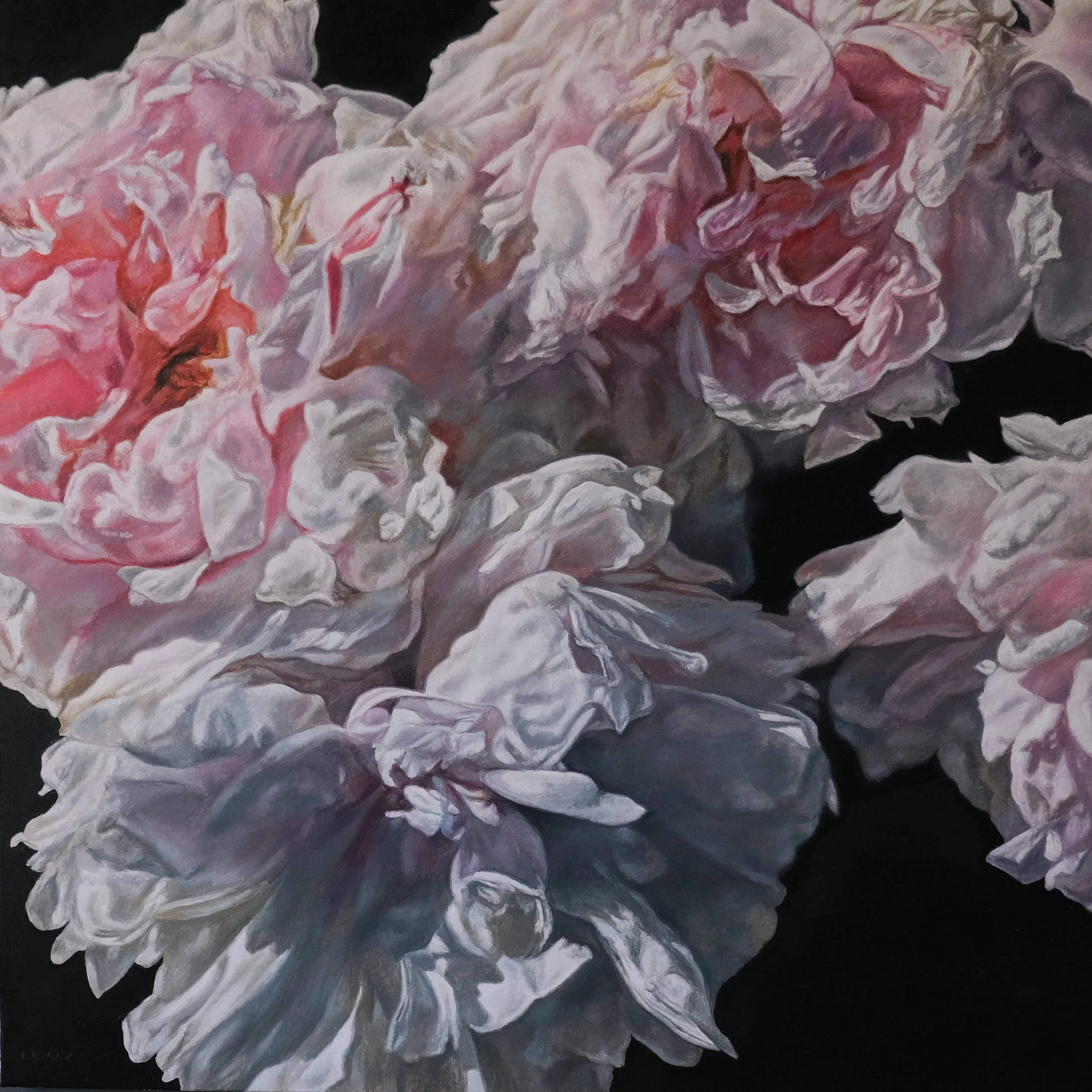 White Peonies