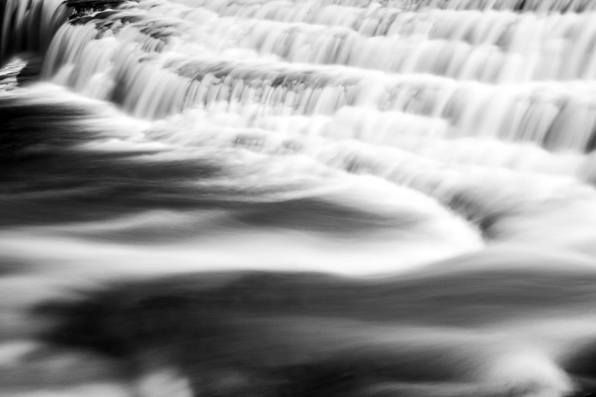 _MG_3984.jpg