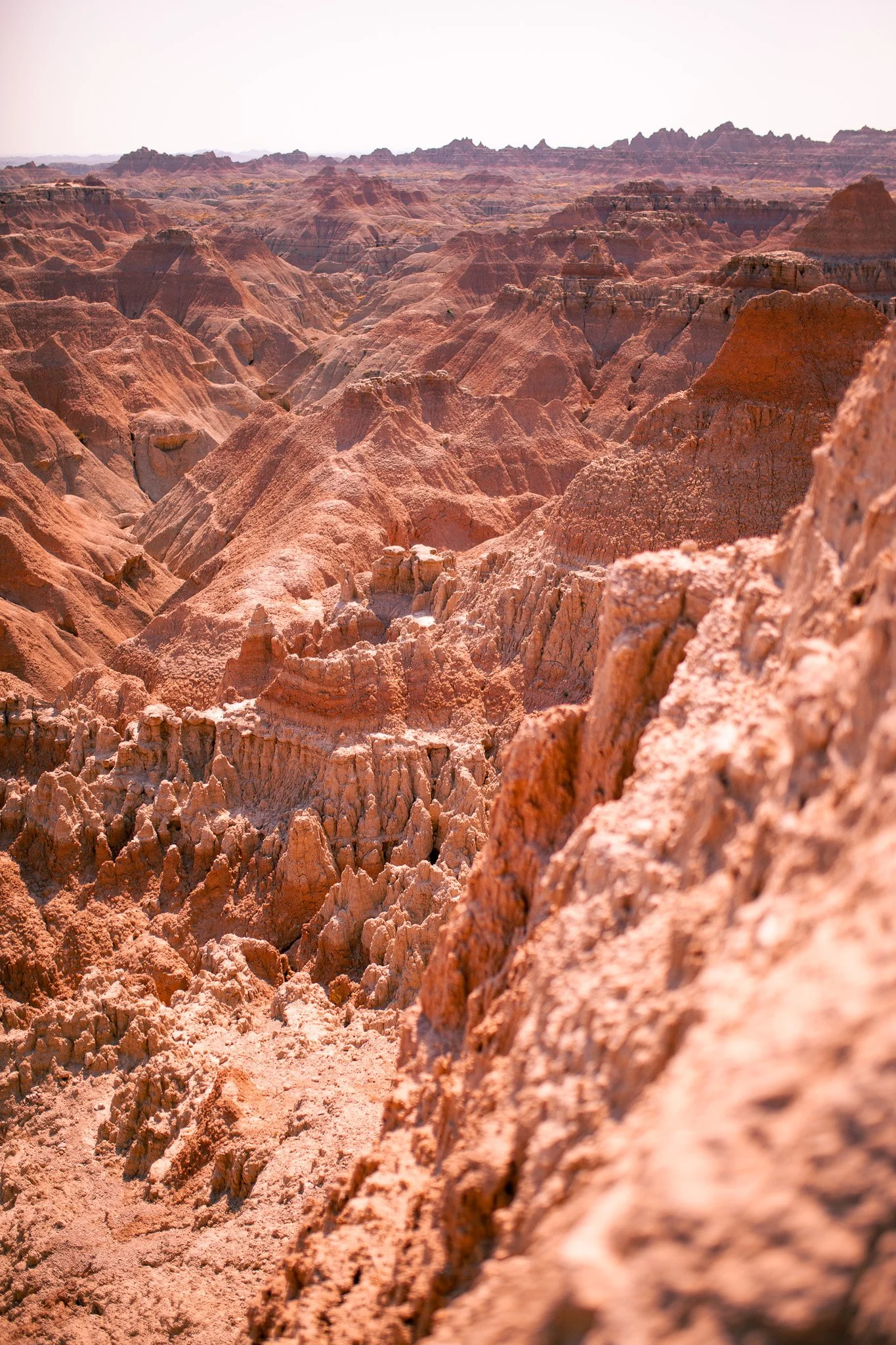 _MG_6775.jpg