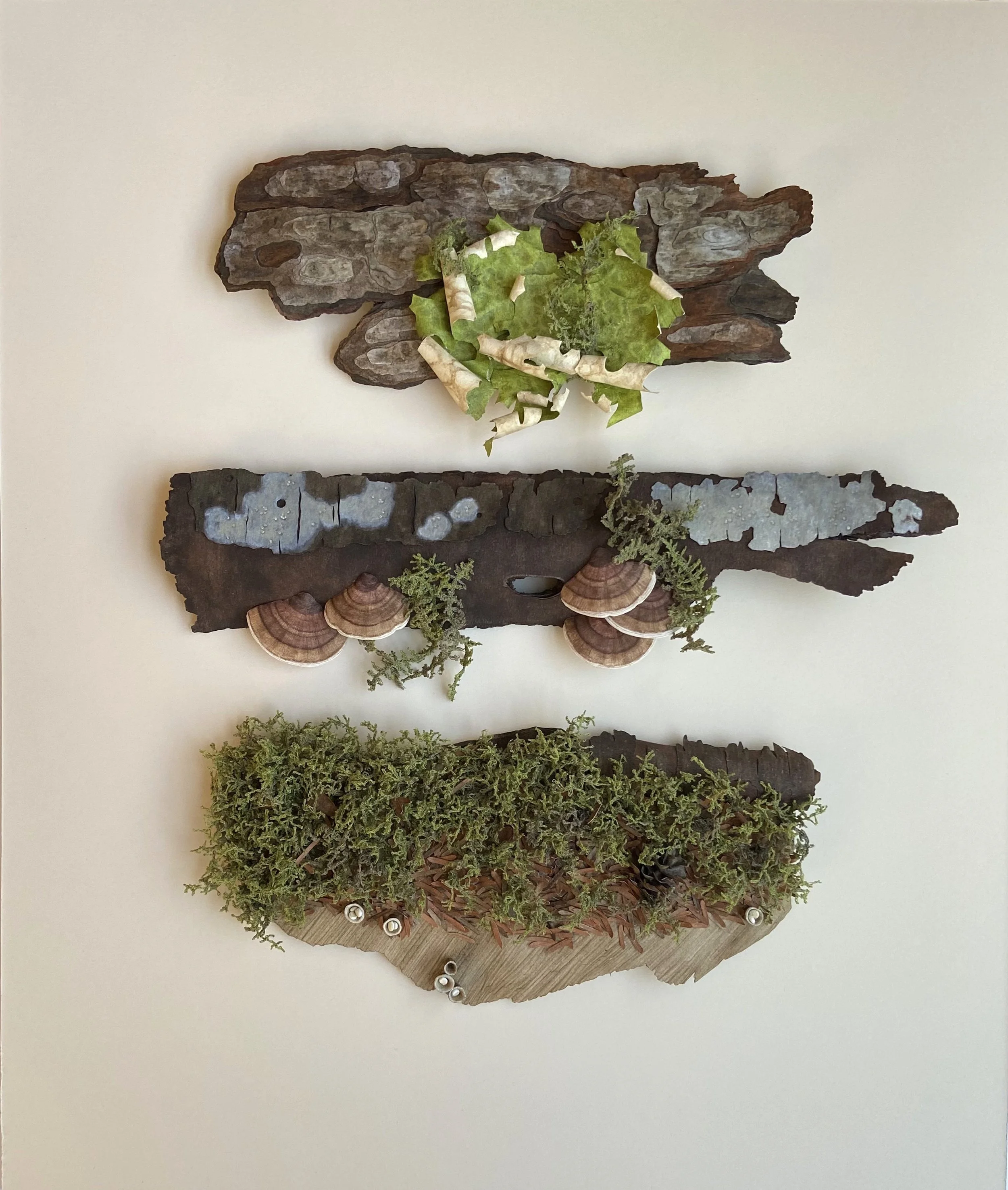 North Cascades Trove