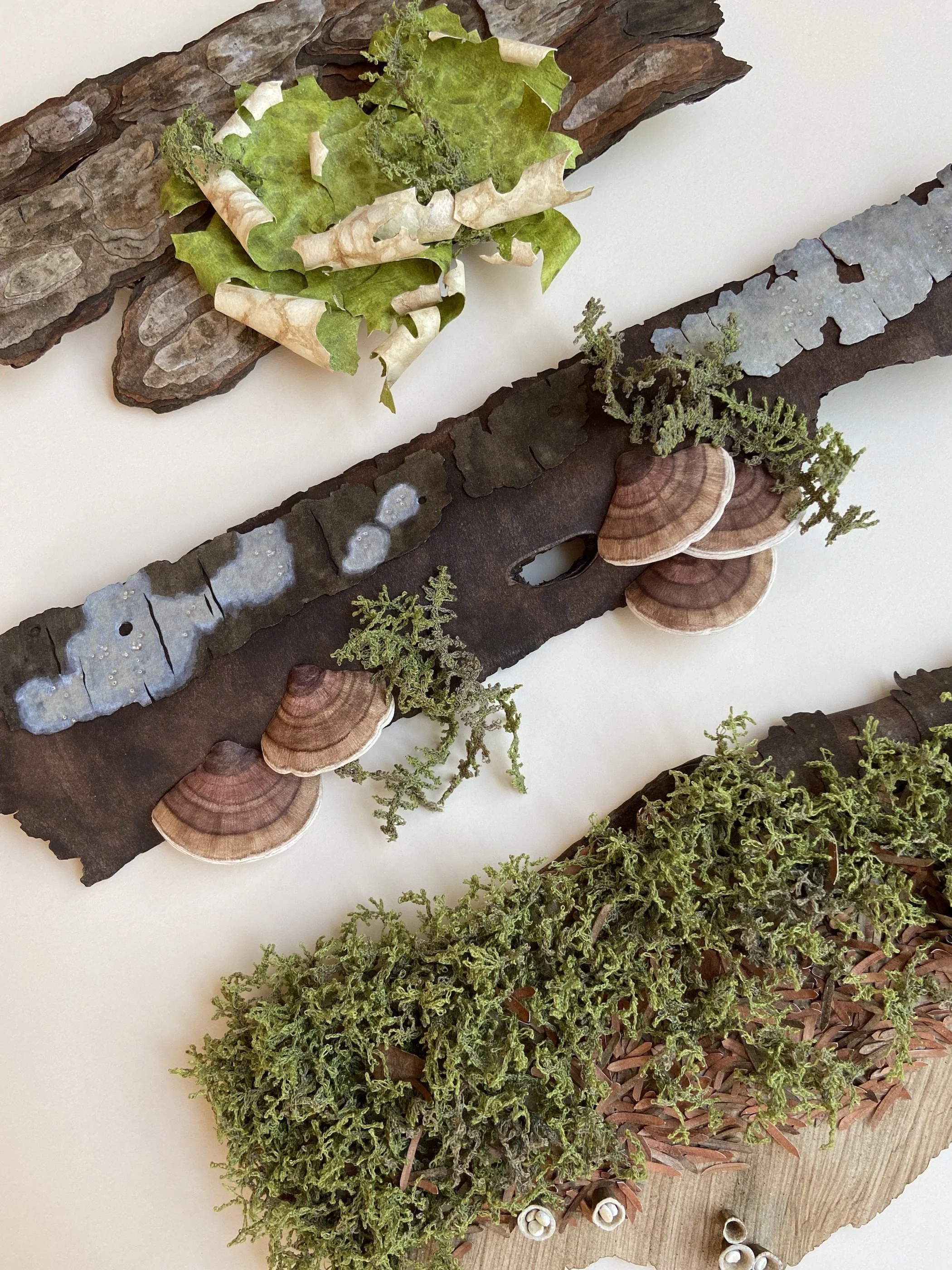 North Cascades Trove detail