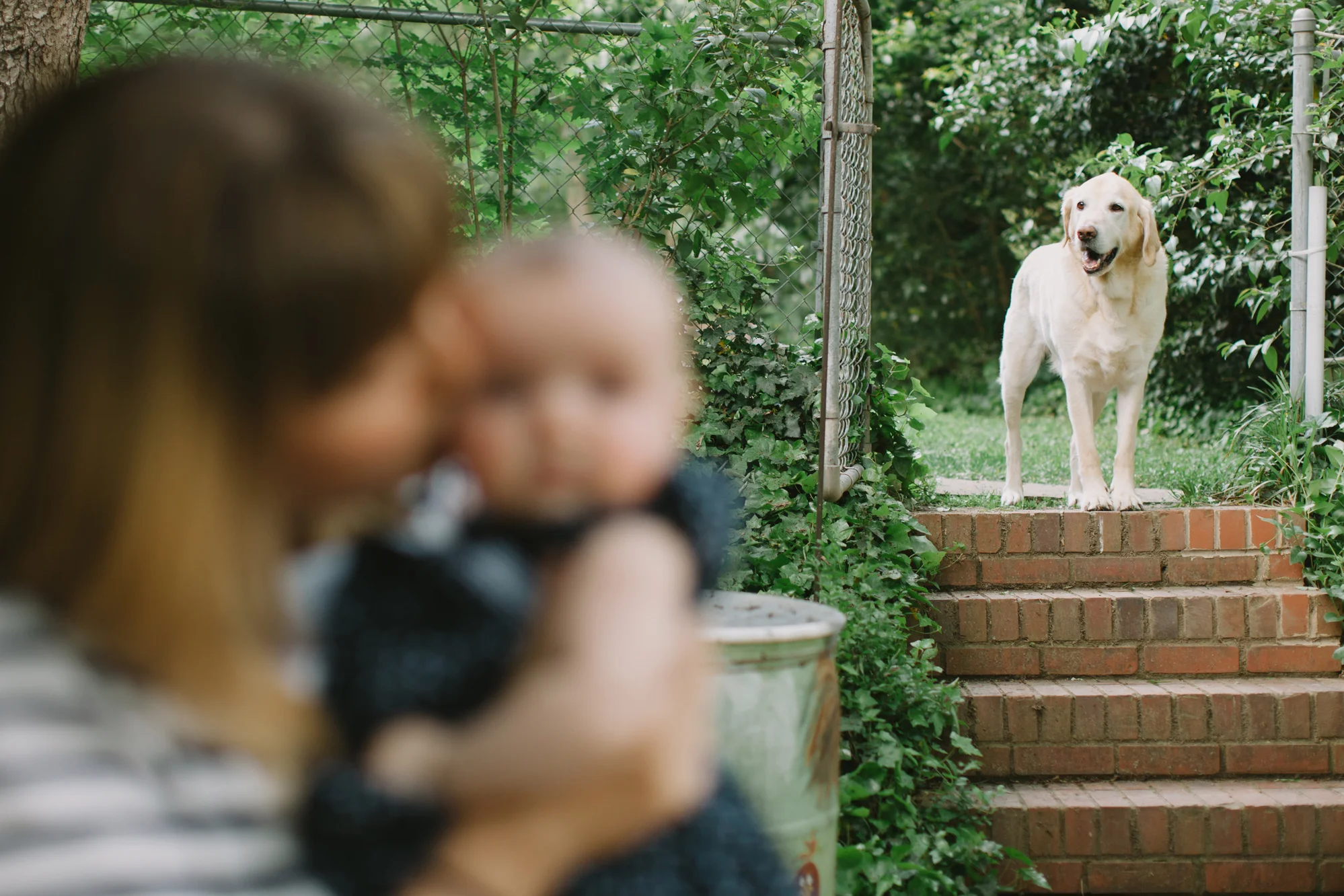 CindyGiovagnoliPhotography_Seattle_Washington_PNW_Family_Children_Newborn_Lifestyle_Portraits-011.jpg