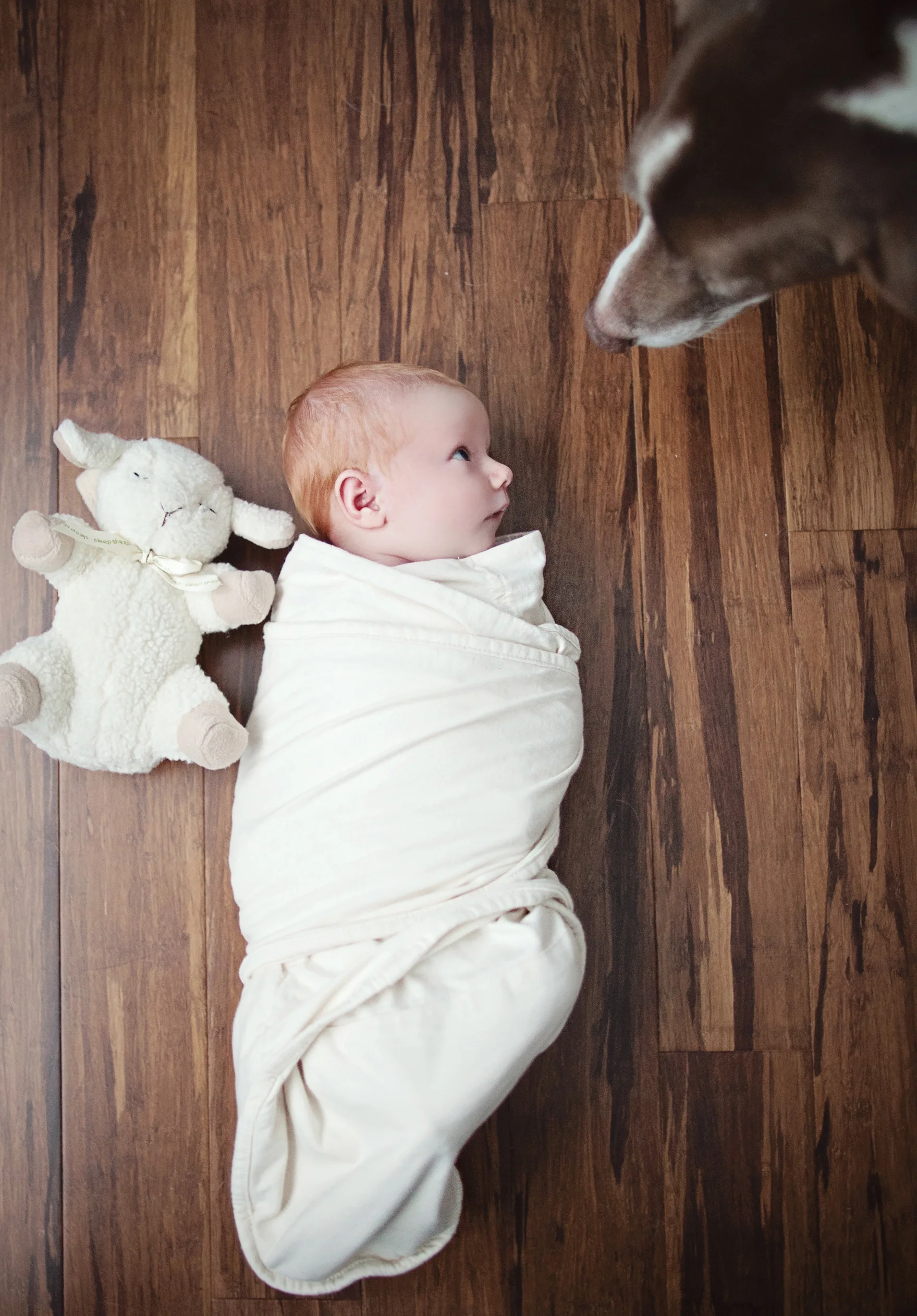 CindyGiovagnoliPhotography_Seattle_Washington_PNW_Family_Children_Newborn_Lifestyle_Portraits-020.jpg