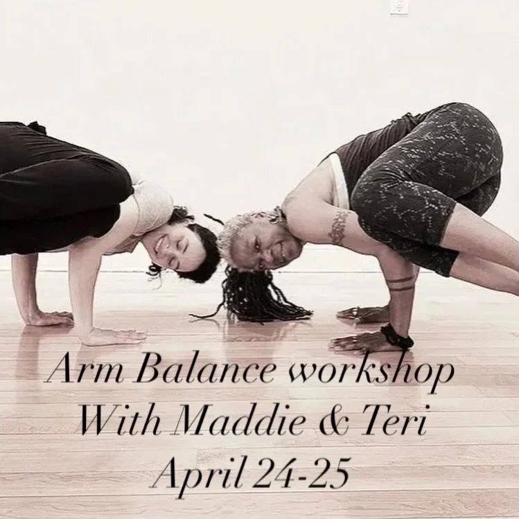 We hope you are having a fabulous weekend in the energy of yesterday's new moon. It is a great day to sign up for Teri &amp; Maddie's Arm Balance workshop!!💪🏽

Christine teaches at 4 pm today!

And we to see you for Bookclub today at 4:30 at East!?