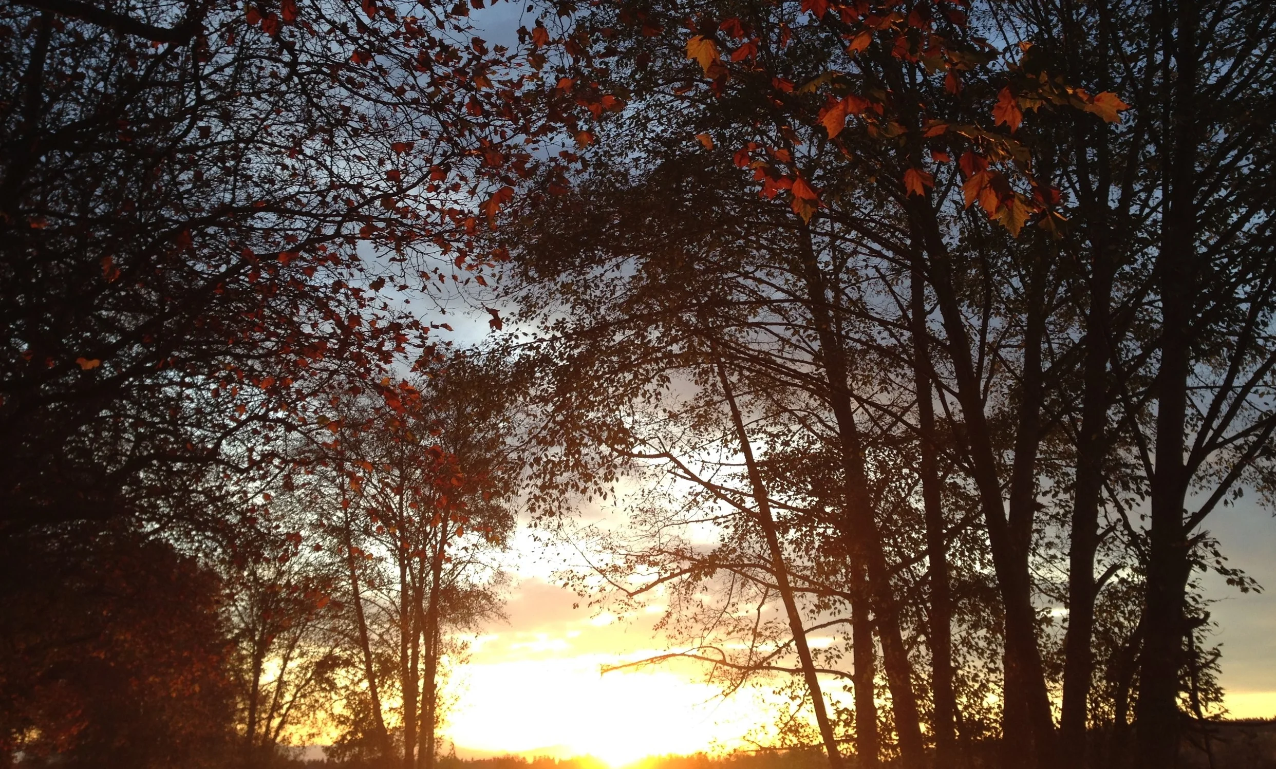 It's More than Okay to Press the Pause Button