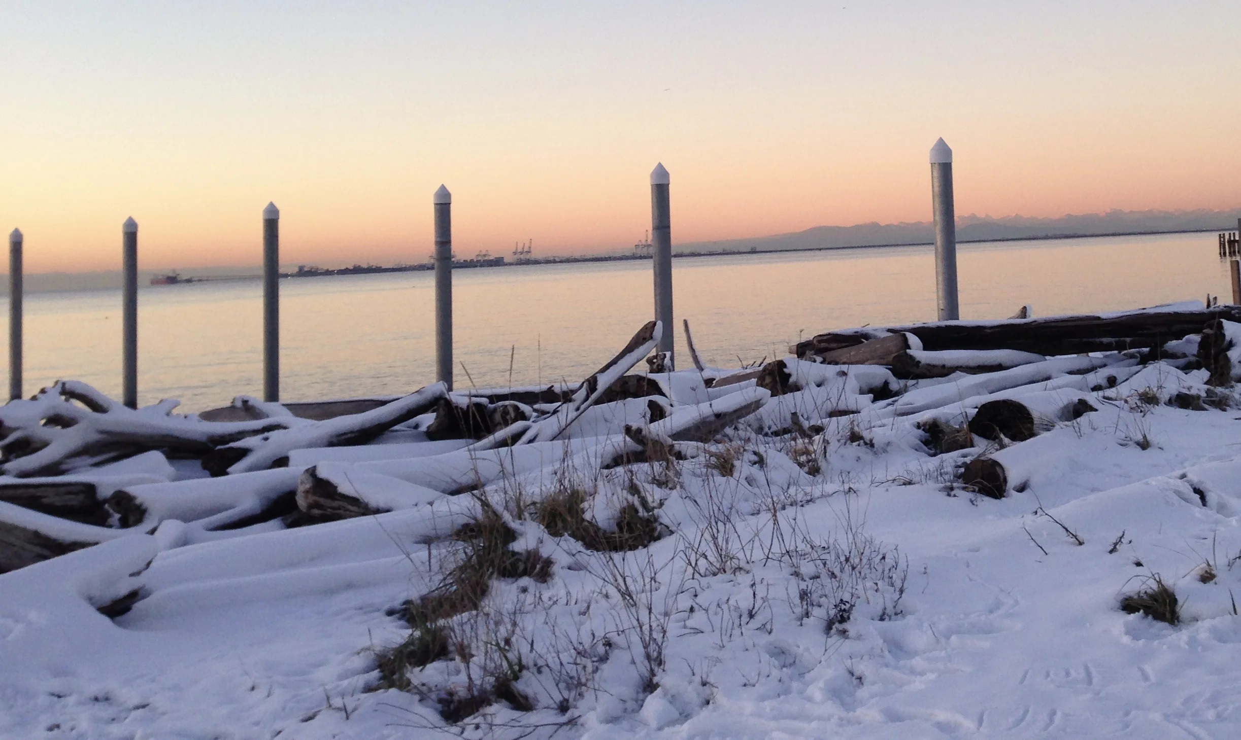 Resilience is Our Natural State