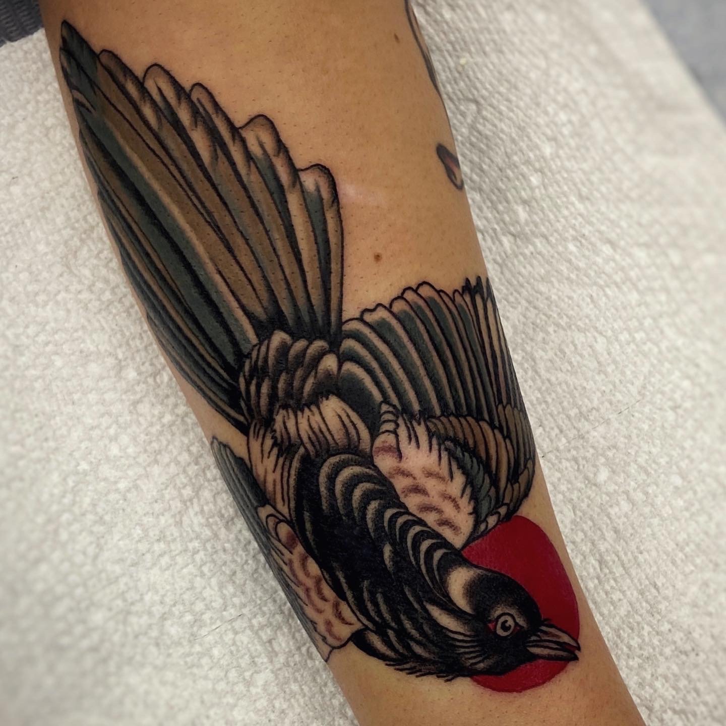Tattoo of bird with red sun in background
