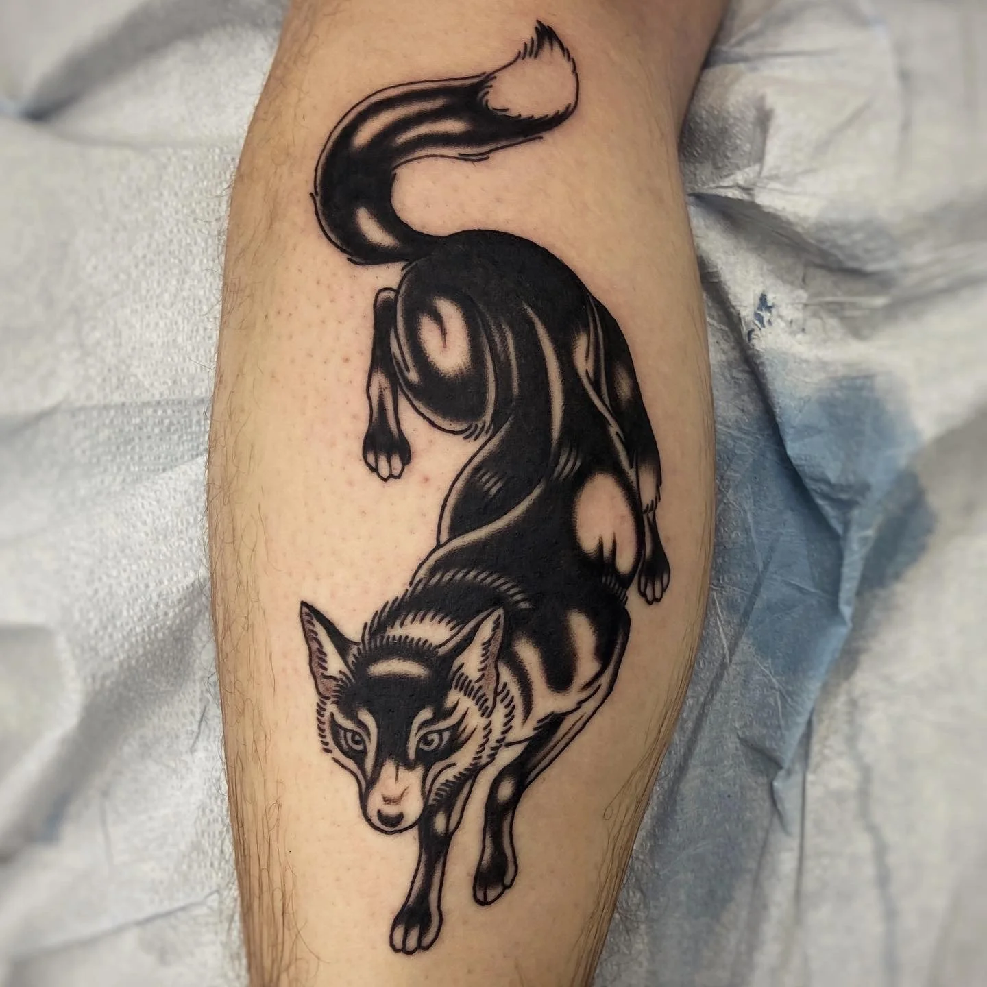 Tattoo of a black & grey wolf 