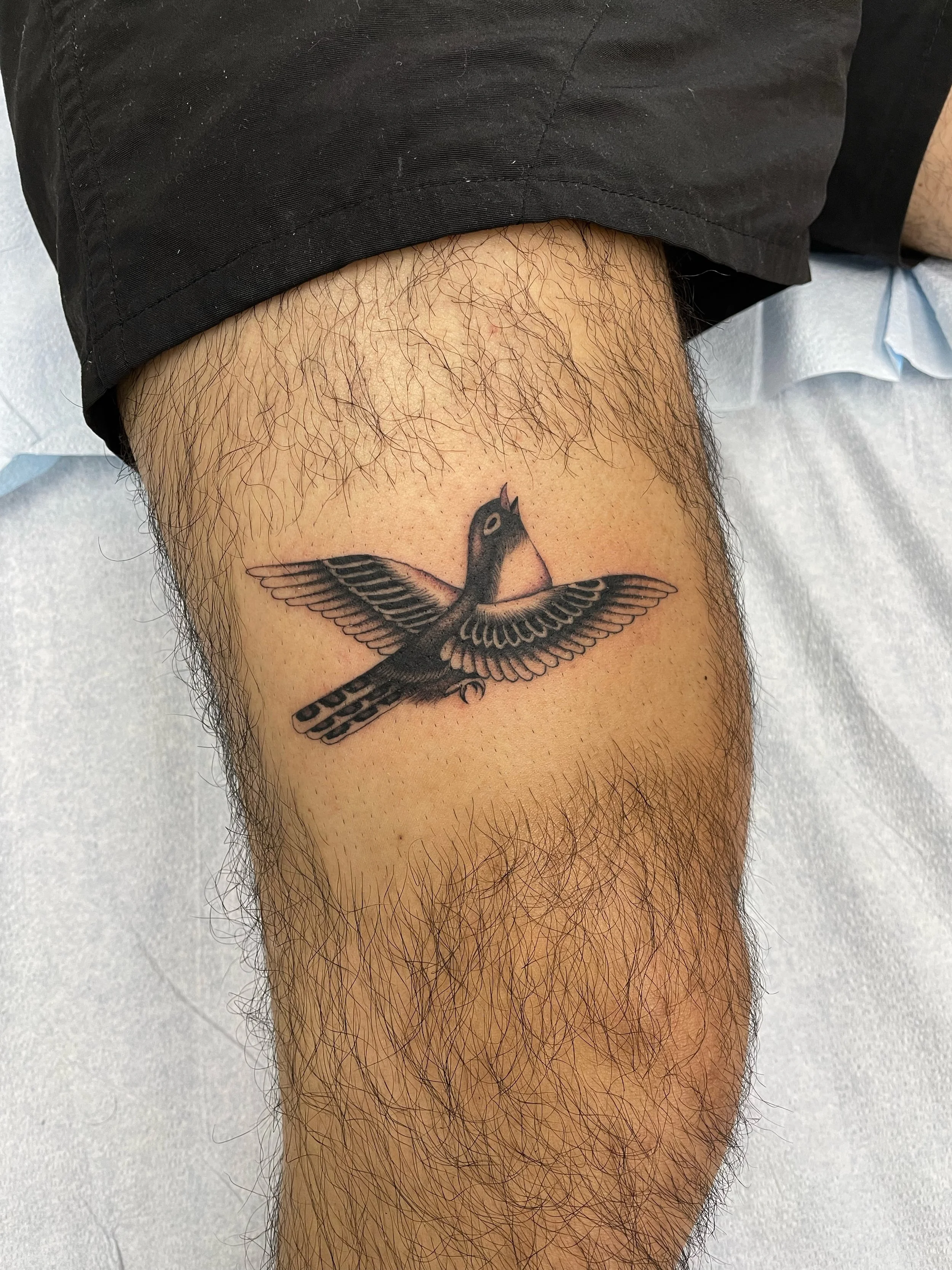 Black and gret bird tattoo