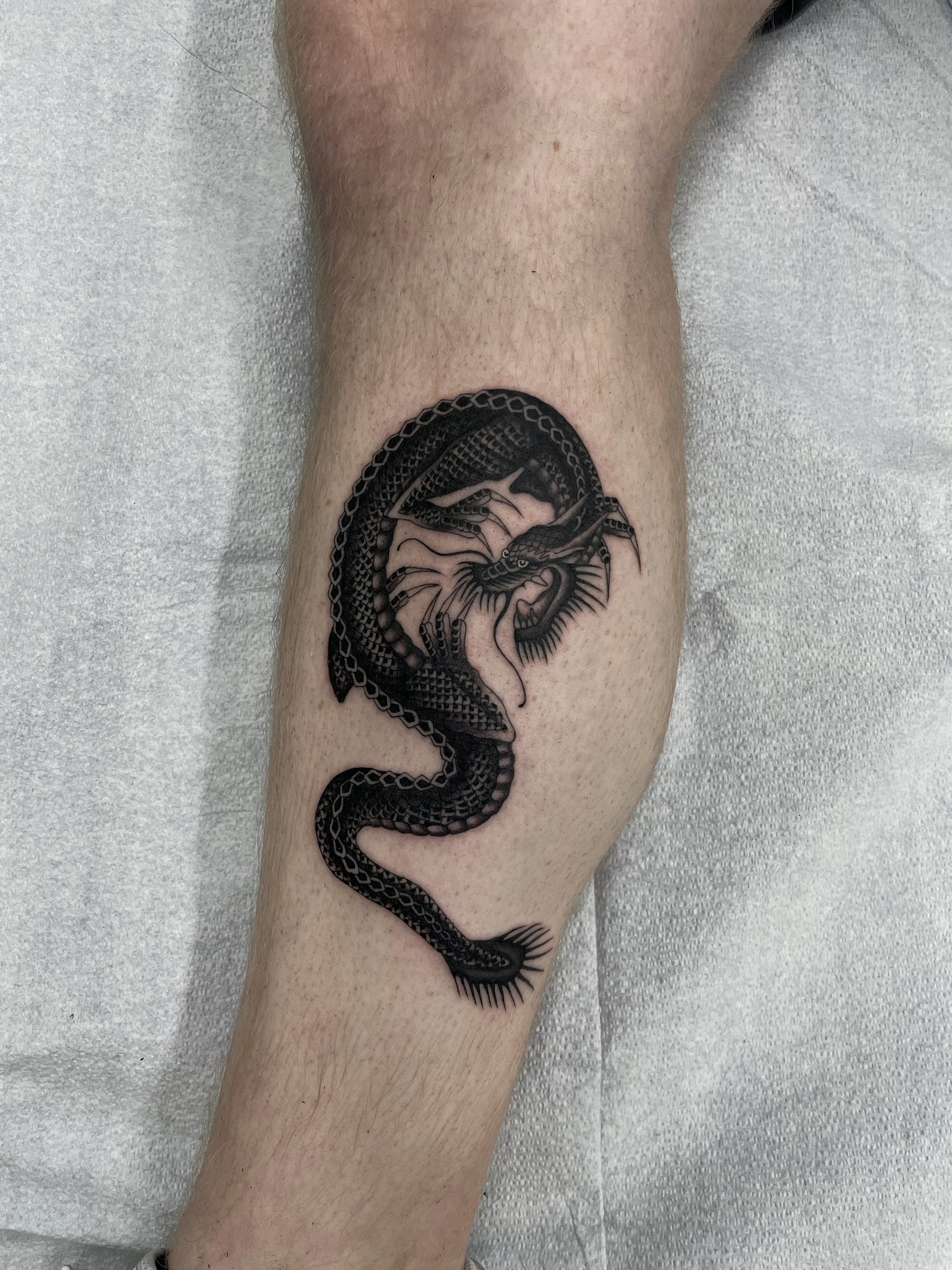Tattoo of black dragon