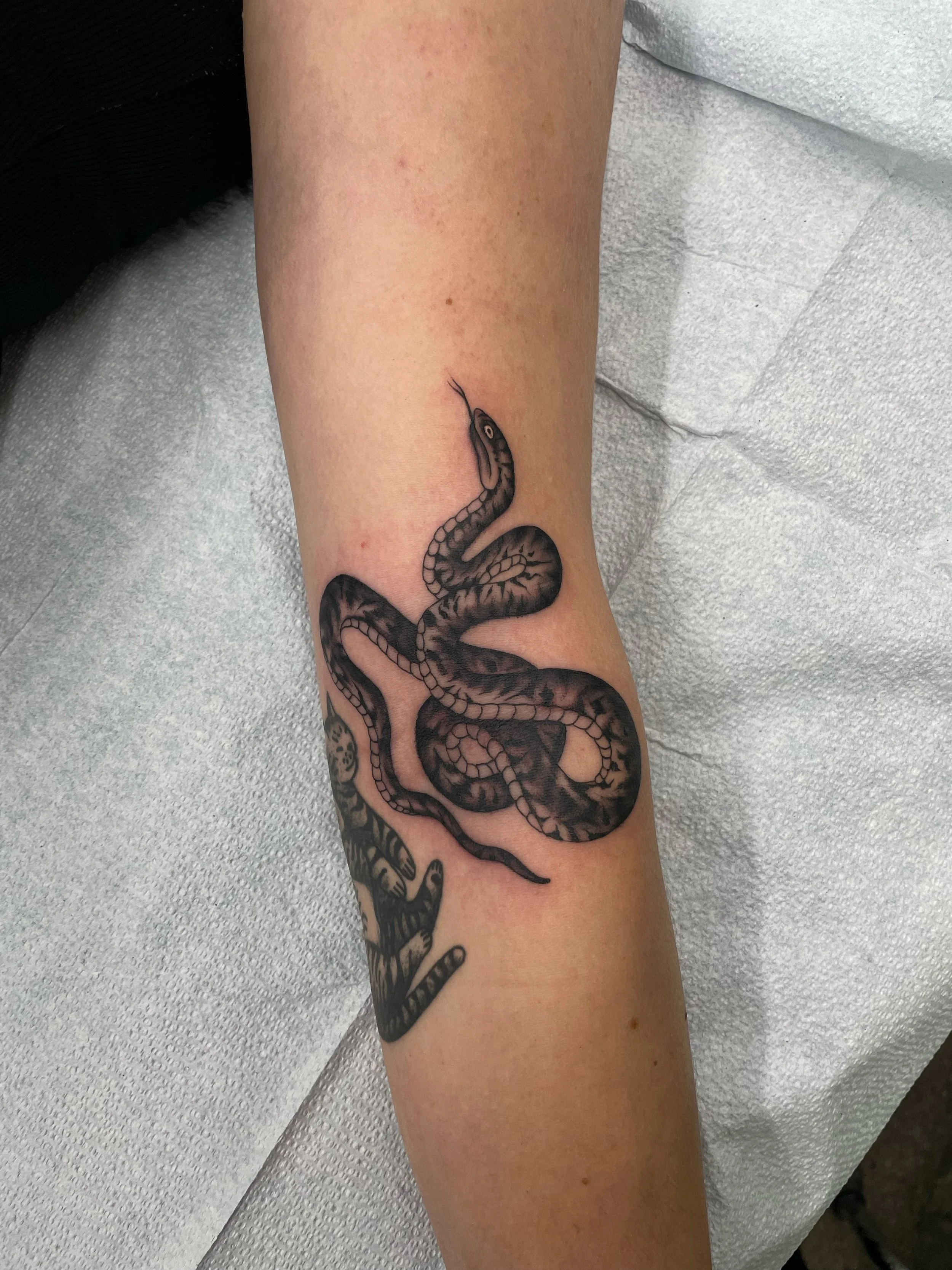 Black and grey tattoo of snake