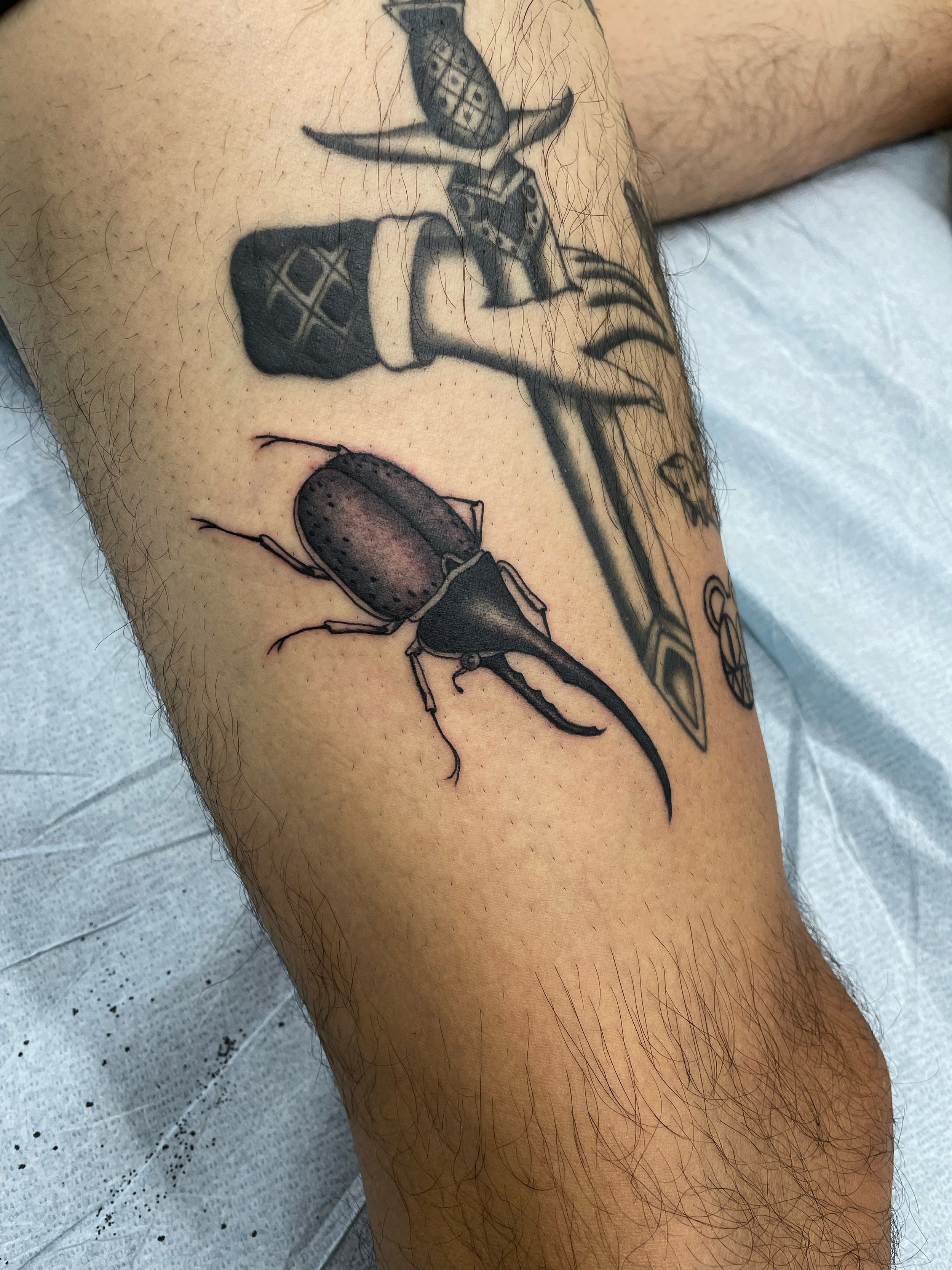 Black and grey tattoo of beetle