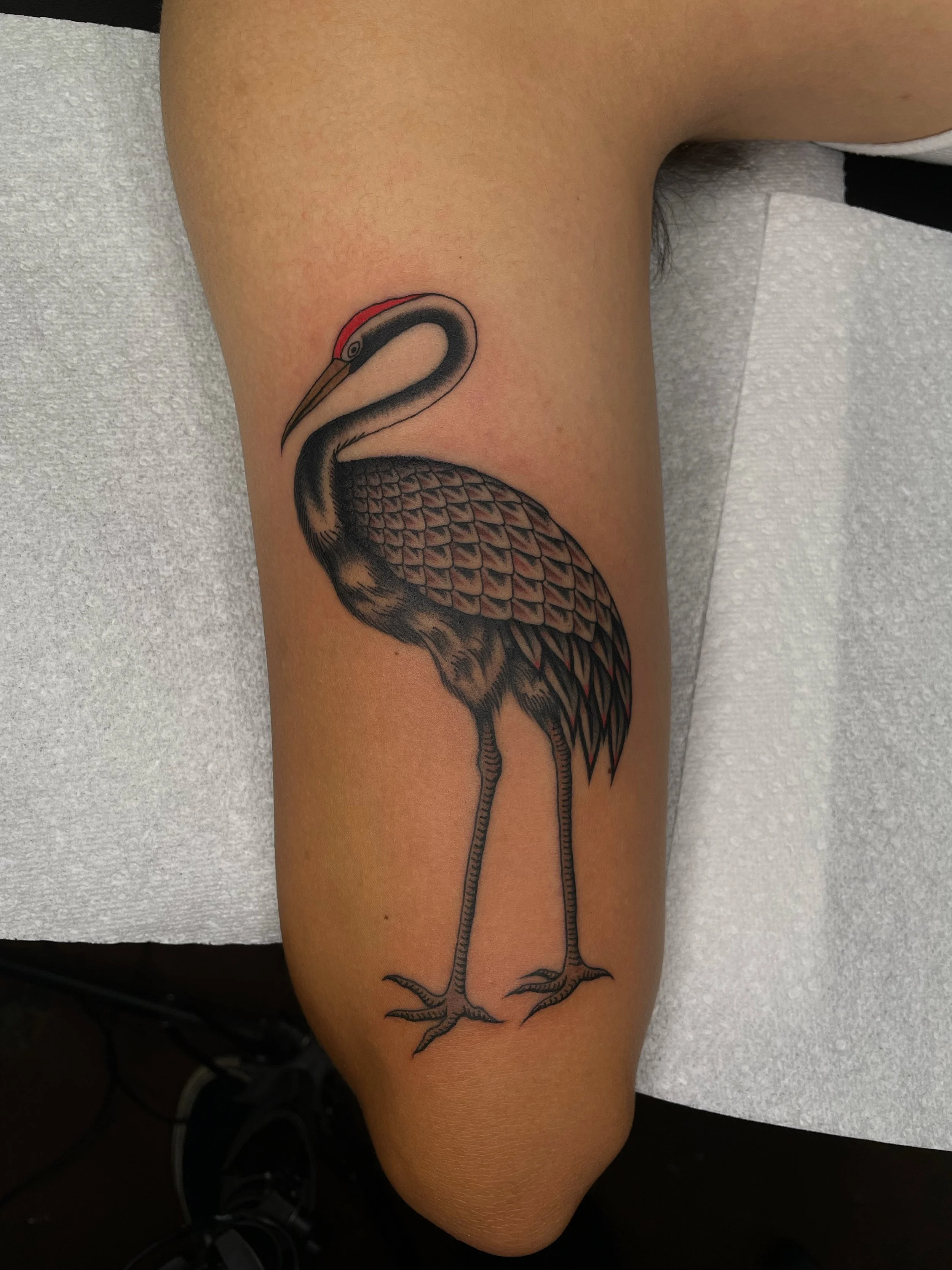 Tattoo of red crowned crane standing