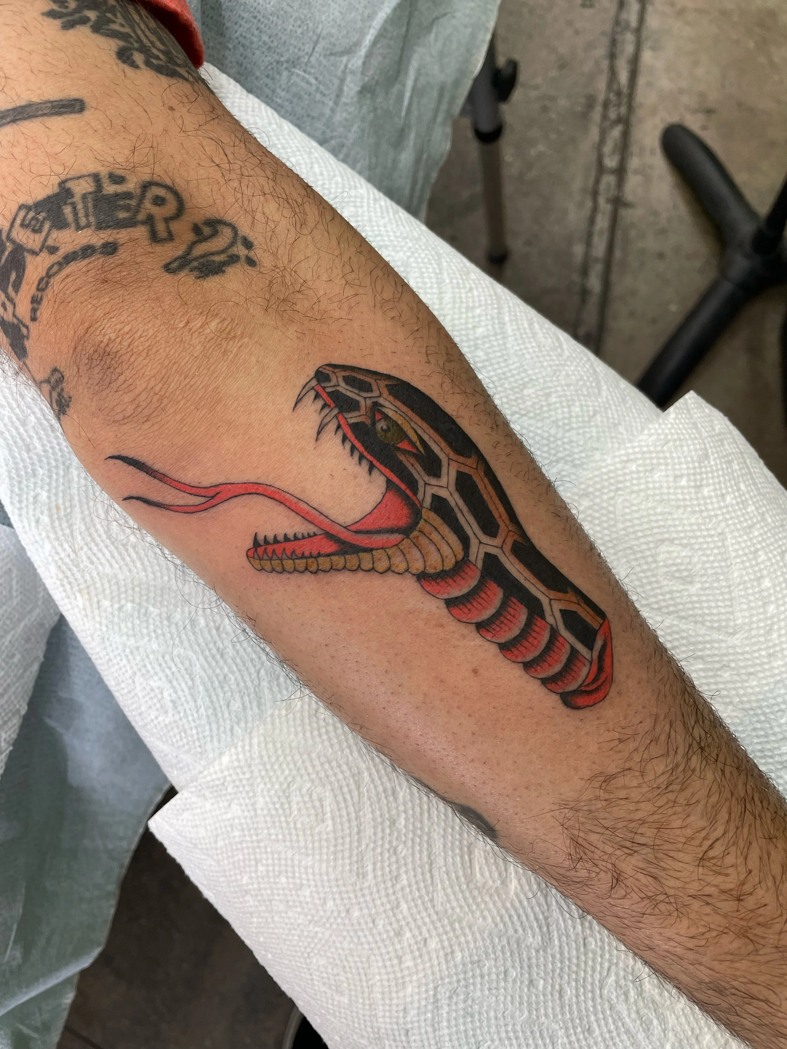 Tattoo of snake head with tongue out on lower arm