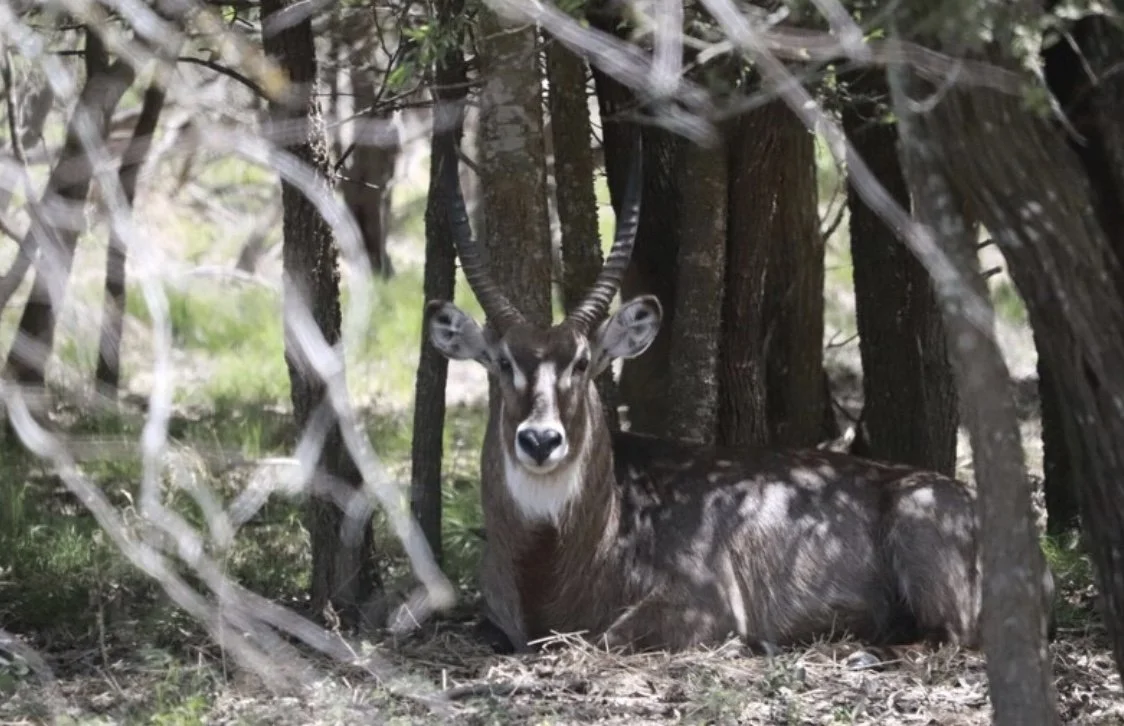 Image 12-28-25 at 4.35 PM.jpeg