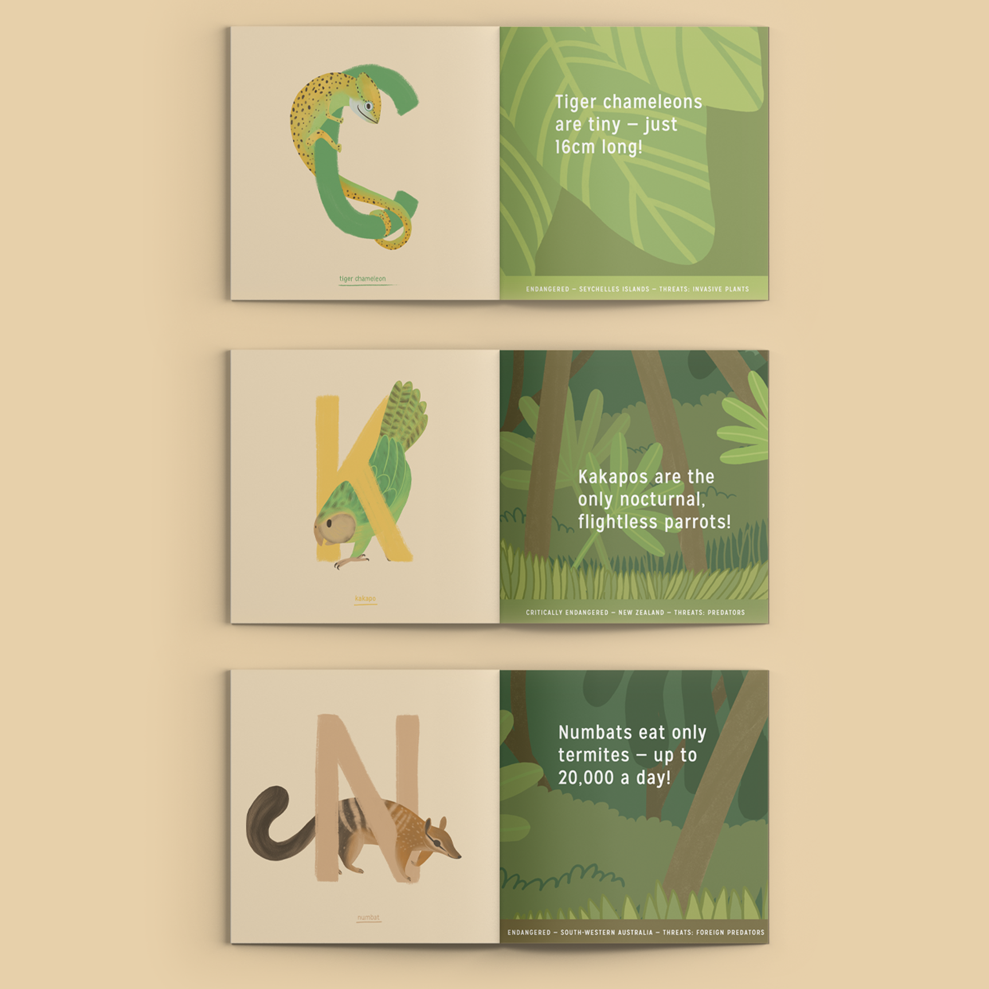 book mockup.png