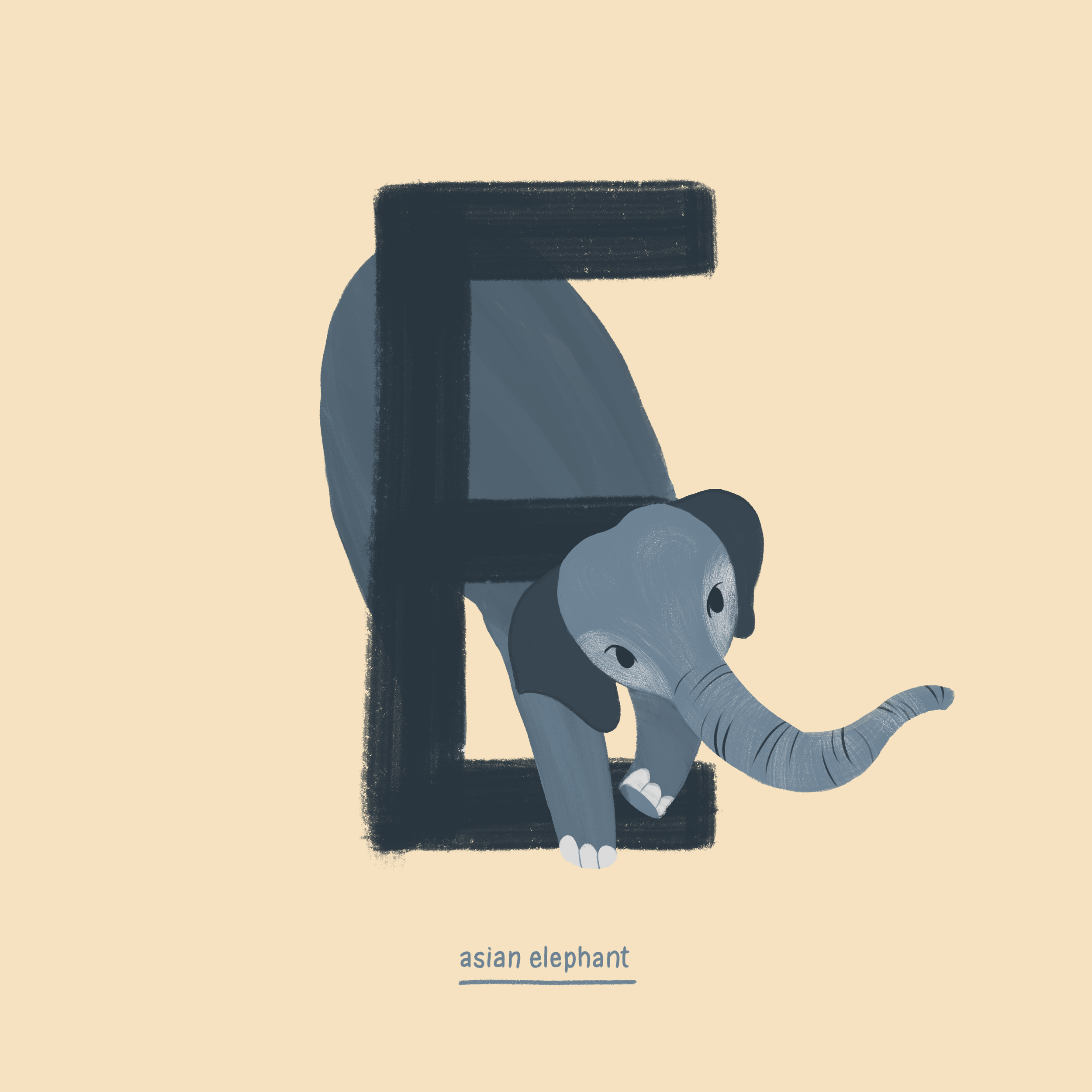 Elephant.png