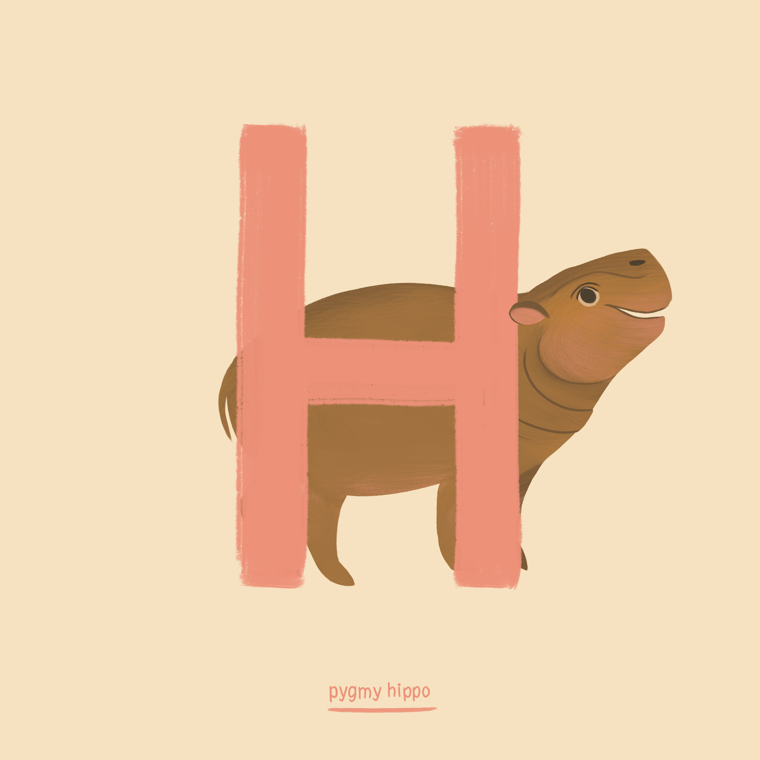 Hippo.png