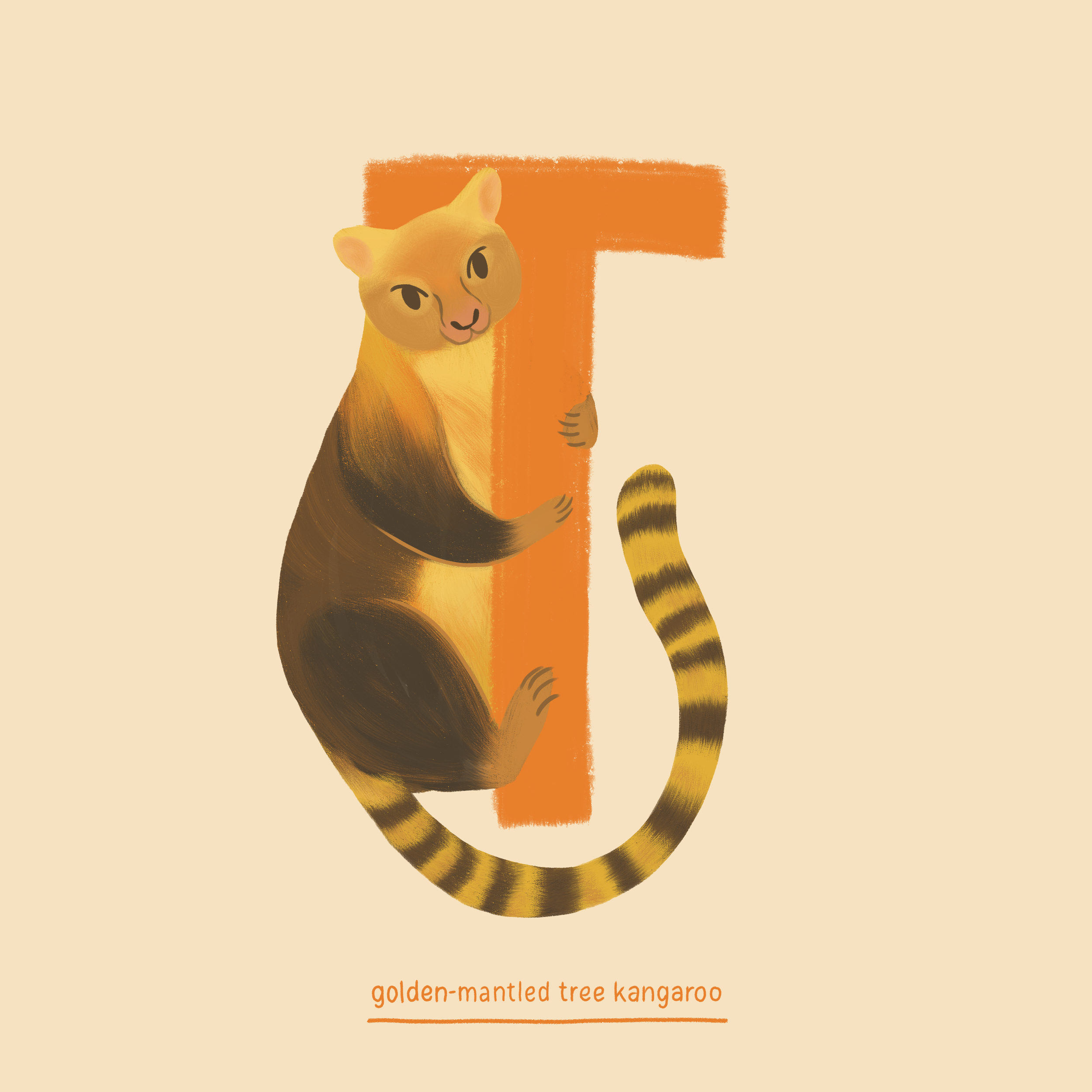 Tree Kangaroo.png
