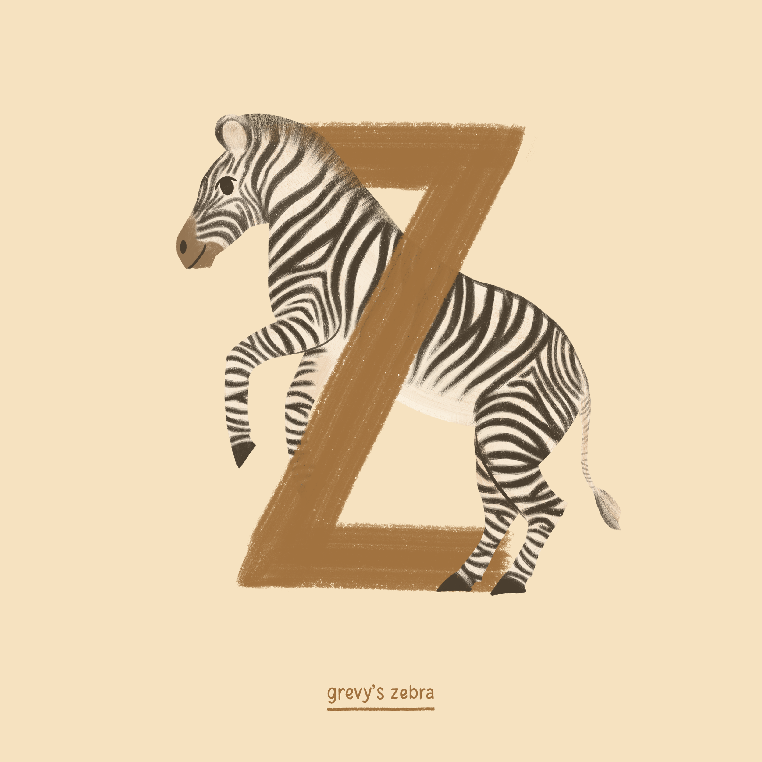 Zebra.png