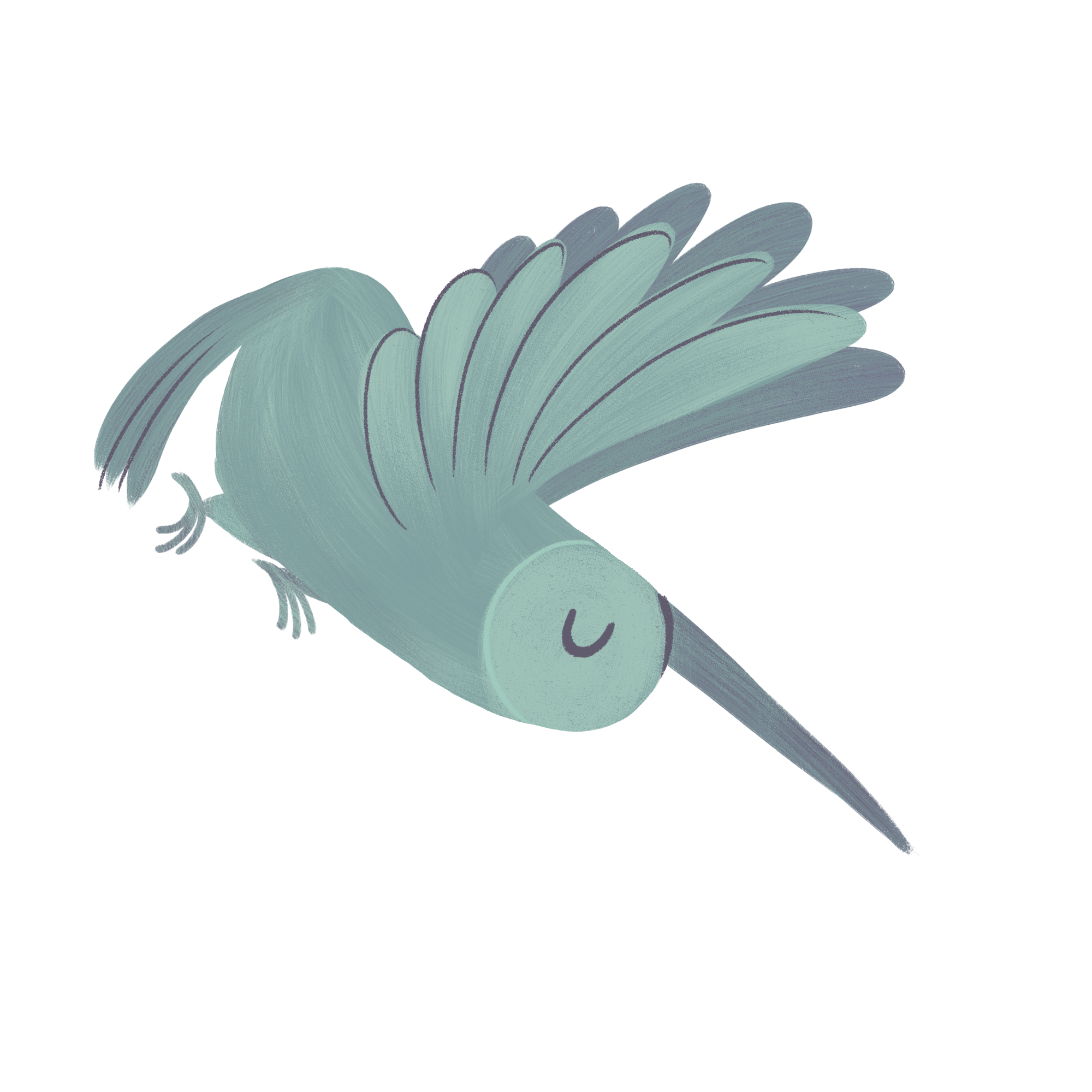 hummingbird.png