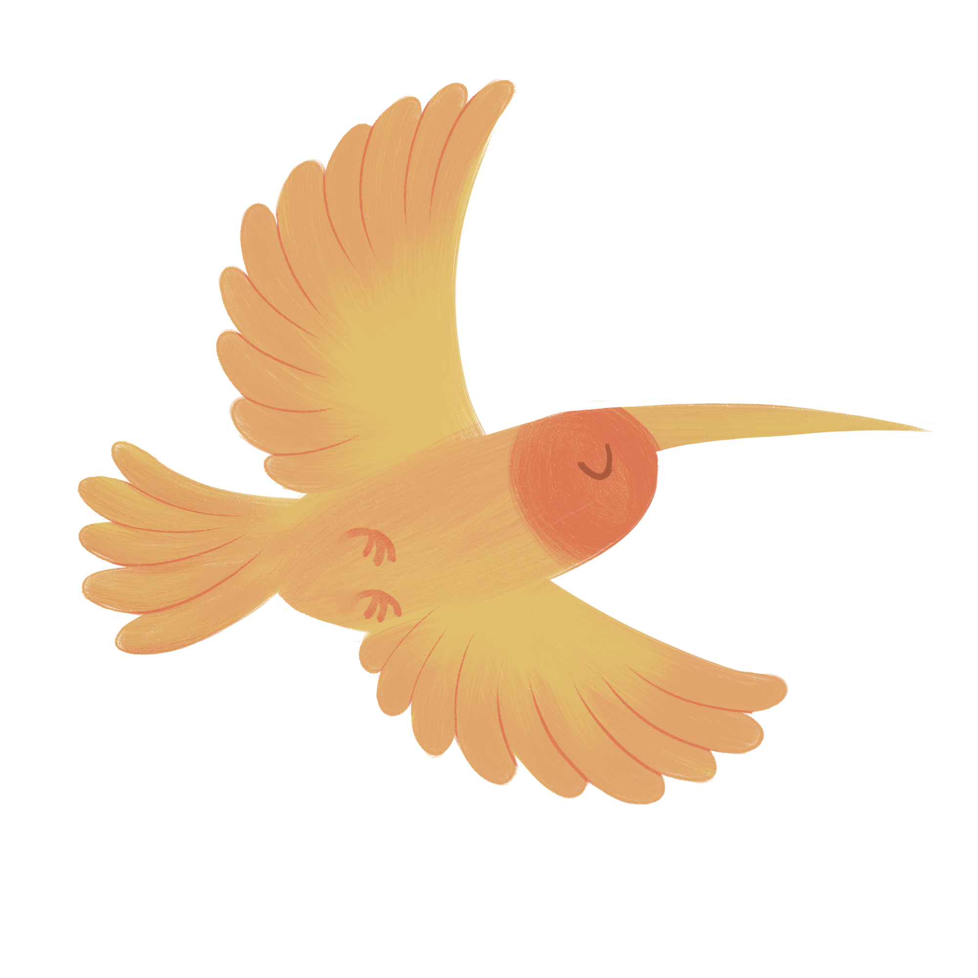 hummingbird2.png